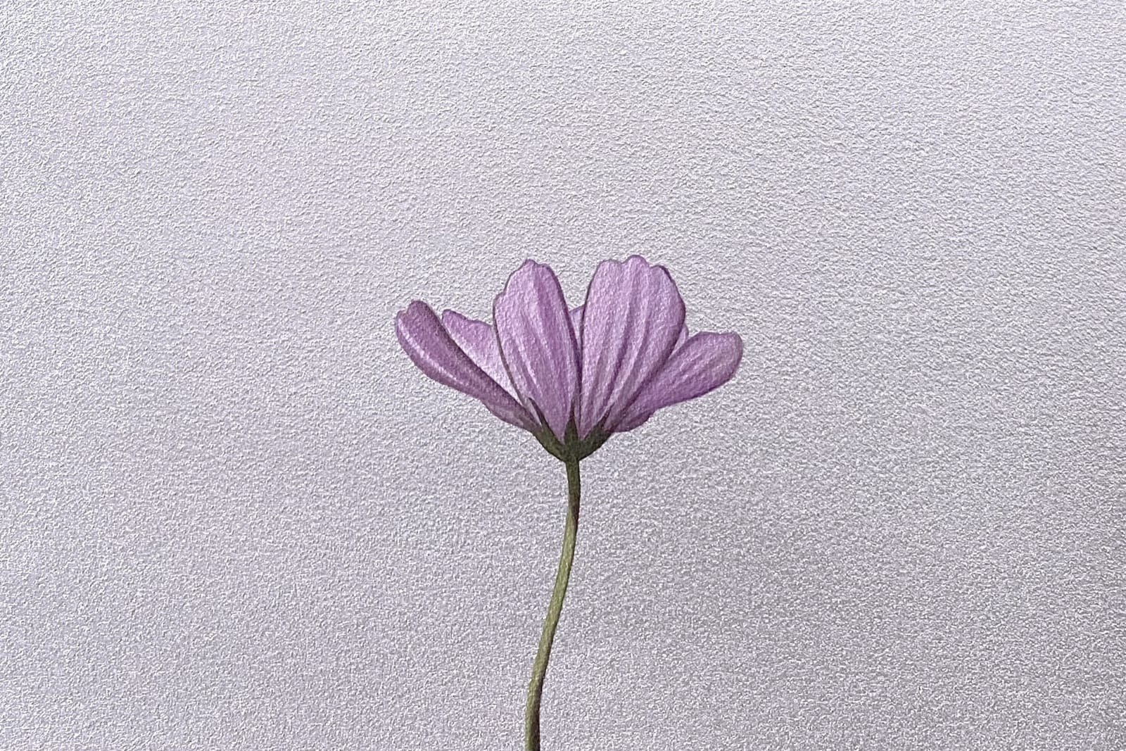 Yasuhiro Toyoda, Cosmos#2,2023