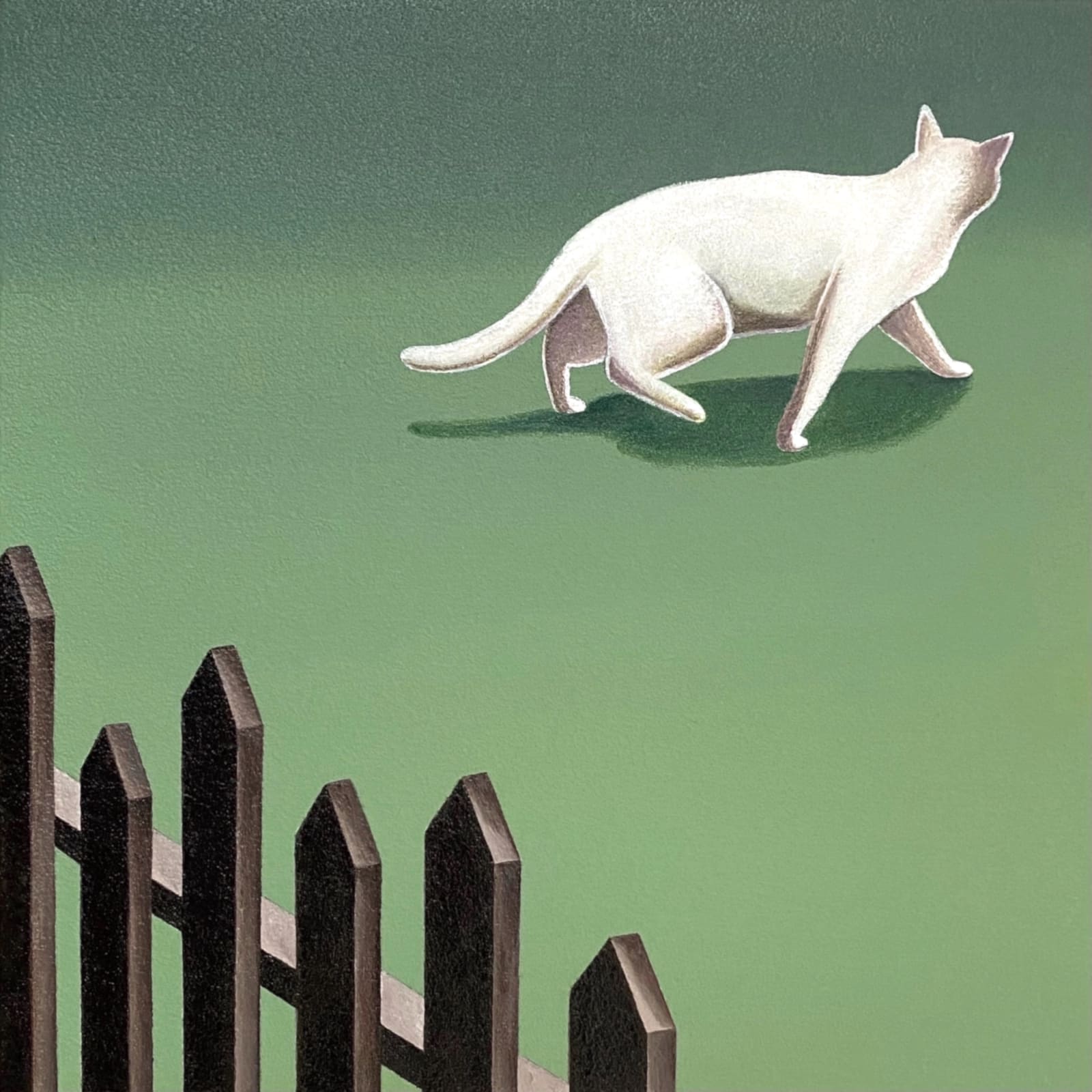 Yasuhiro Toyoda, Garden cat#2, 2023