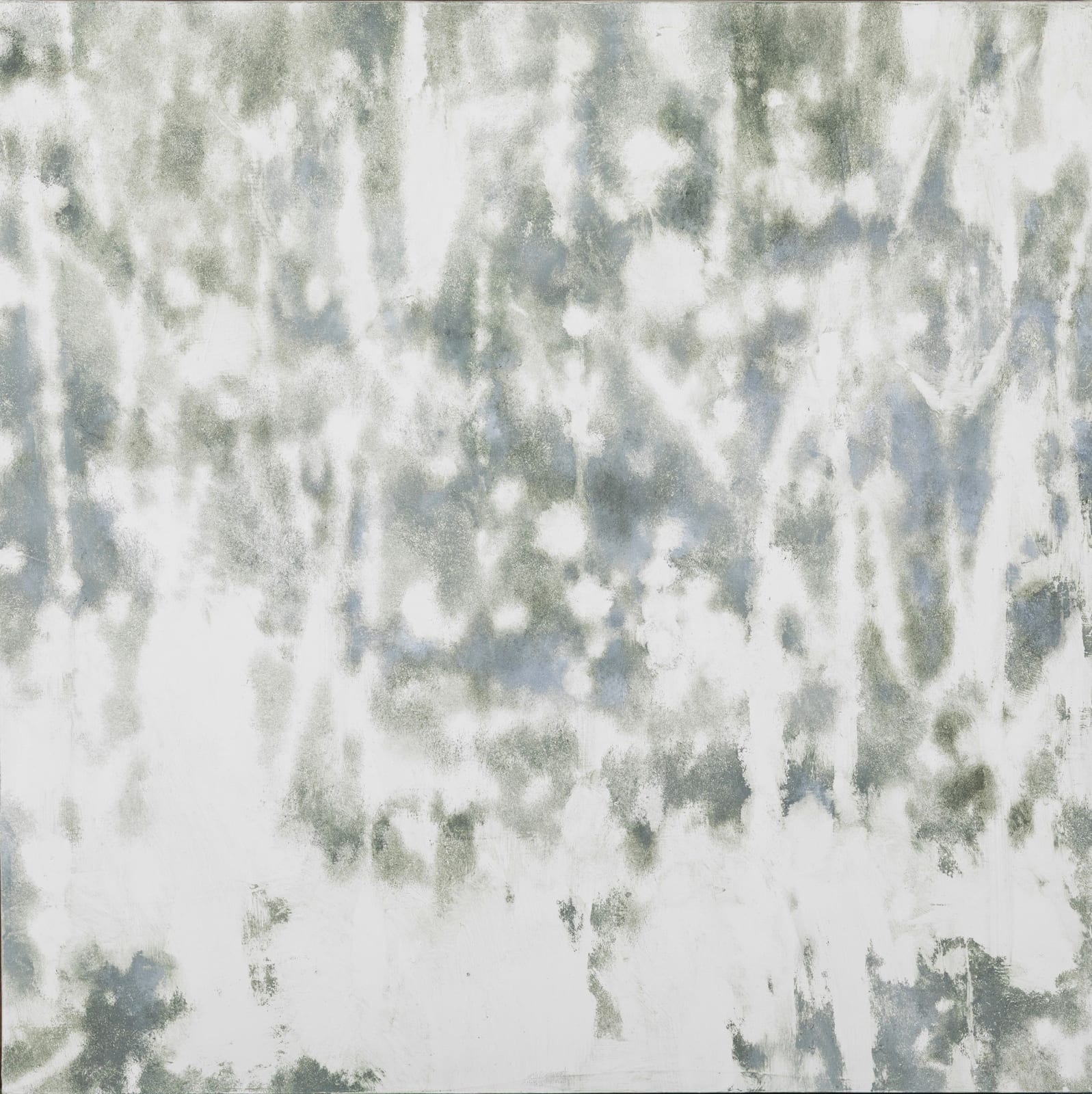Taiga Ito, Crystallized Landscape-Flowers of Rain, 2020