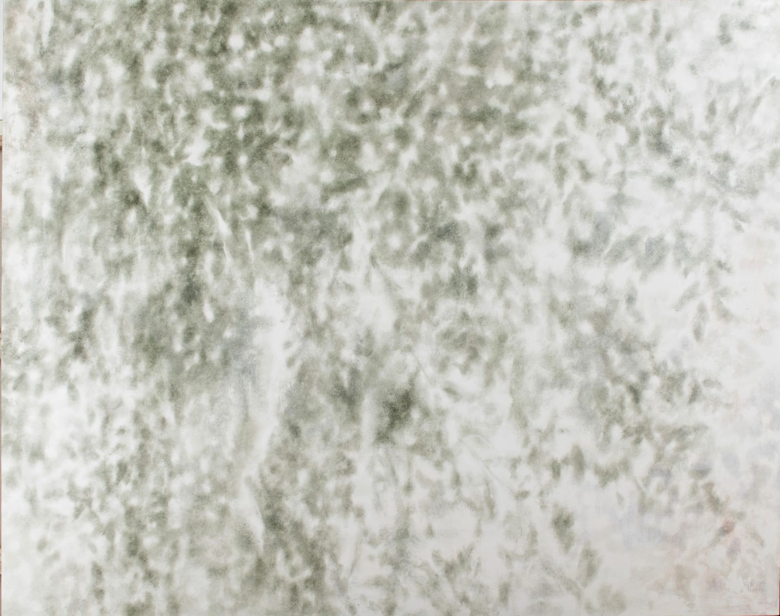 Taiga Ito, Crystallized Landscape-The Universe of Shadow, 2020