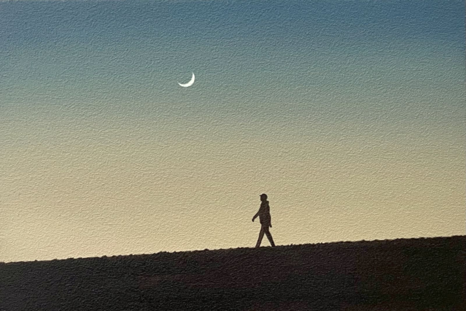 Yasuhiro Toyoda, Walking, 2025