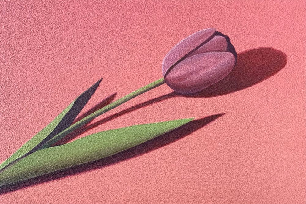 Yasuhiro Toyoda, Tulip, 2022
