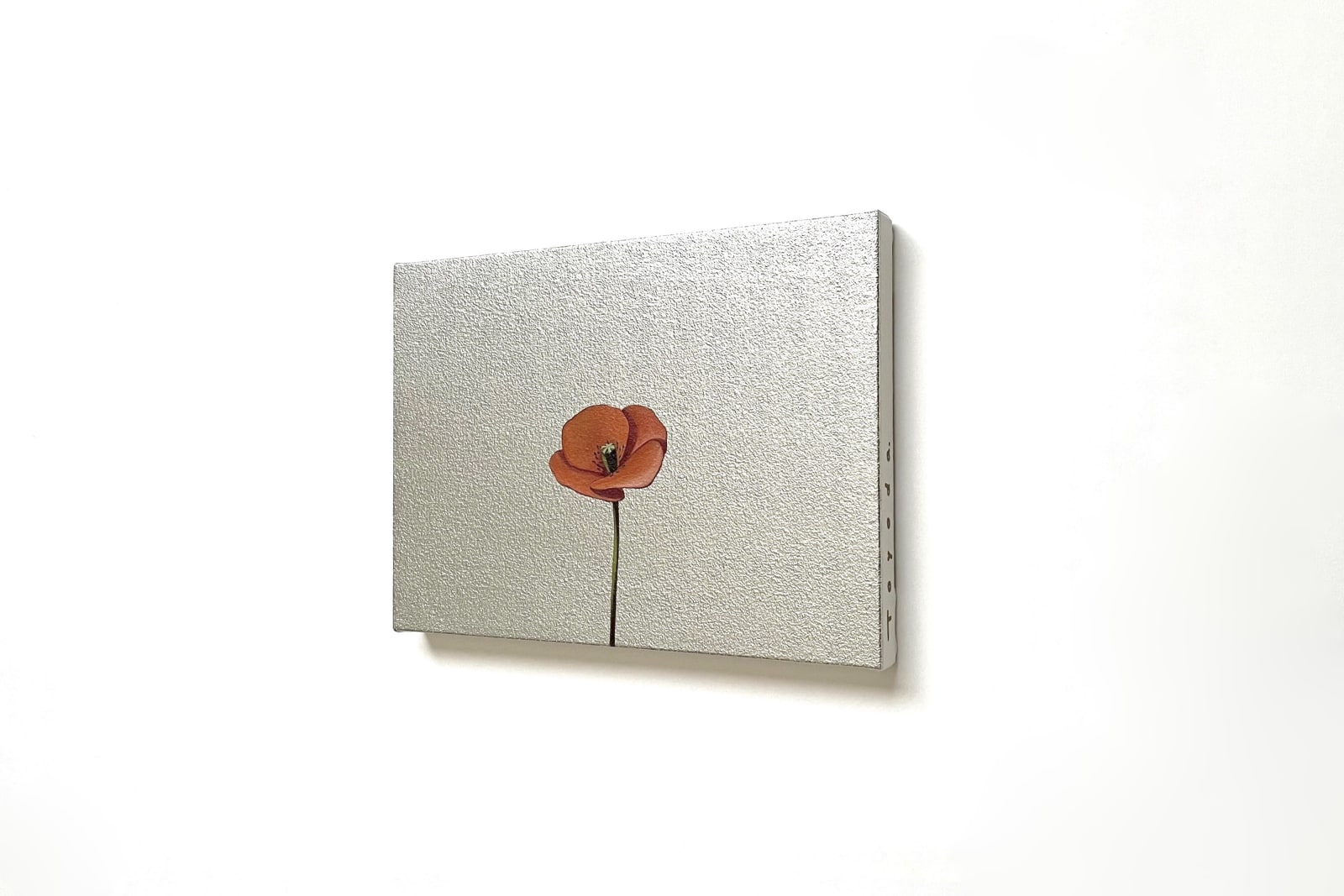 Yasuhiro Toyoda, Poppy＃1,2024