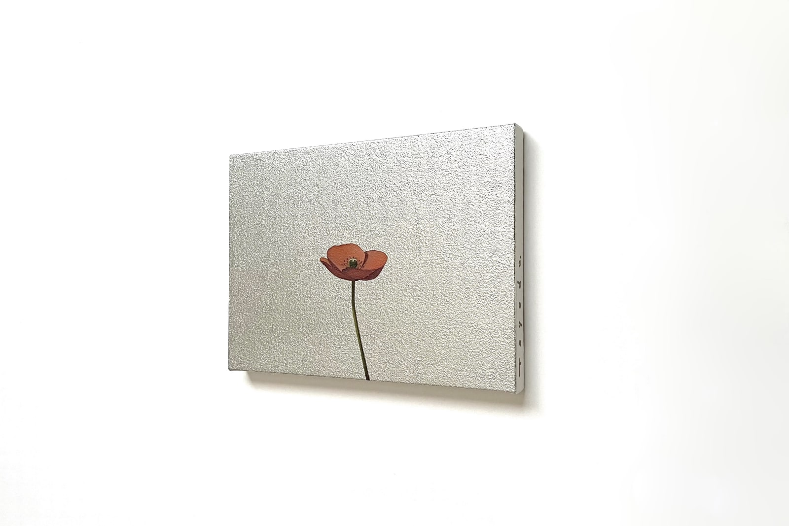 Yasuhiro Toyoda, Poppy＃2,2024