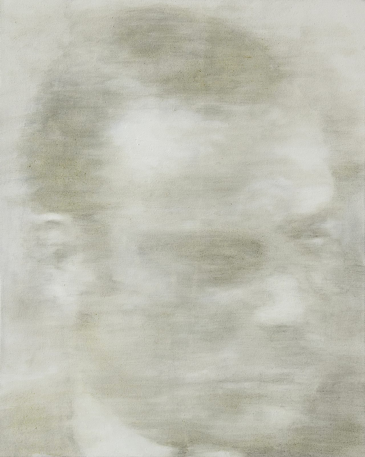 Veljko Vučković, The Suspect 17 , 2017