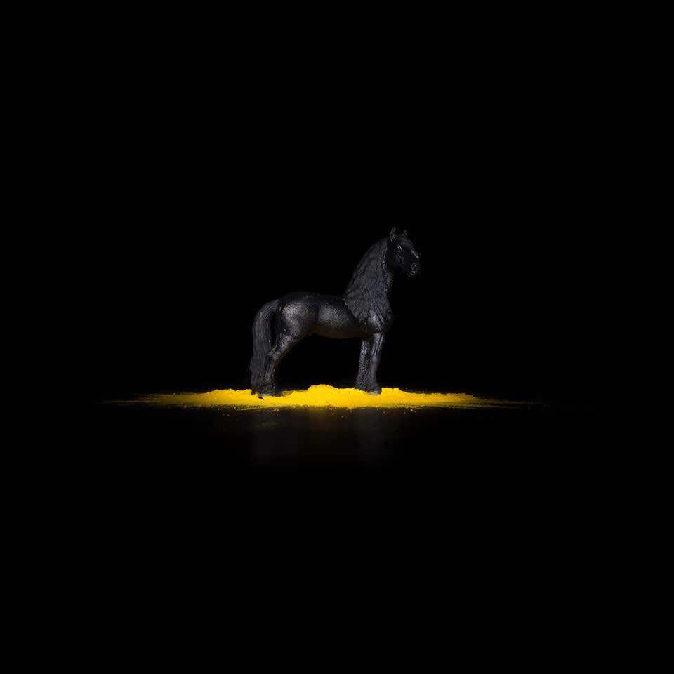 Piero Viti, BESTIARIUM MINIMUM BLACK HORSE, 2018