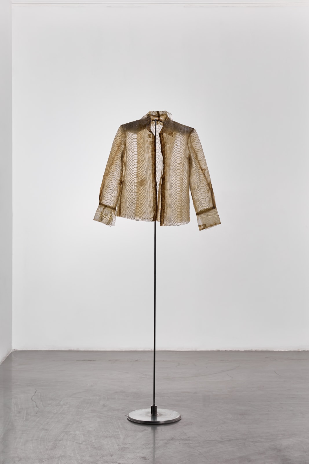 Milija Čpajak, ecdysis, 2022