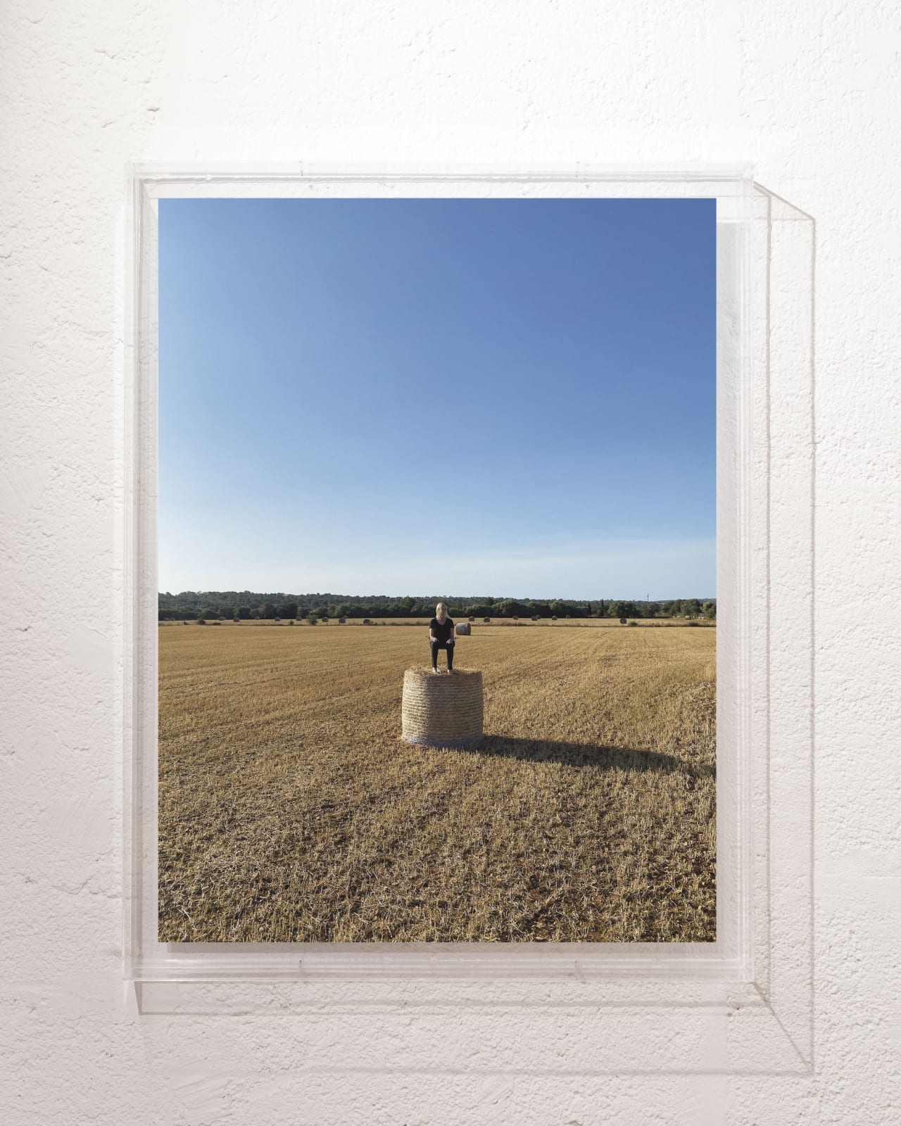 Susy Gómez, Campos Penetrables III (meditación sobre una bala de trigo), 2023