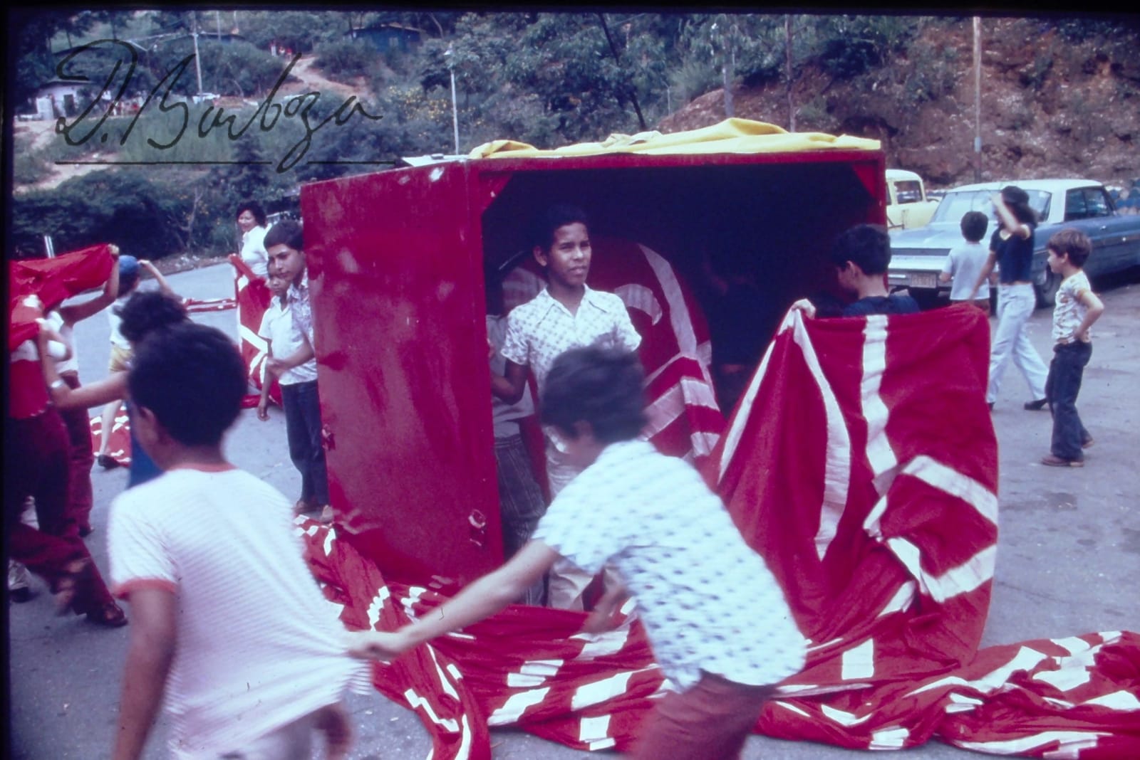 Diego Barboza, La caja del cachicamo, 1976