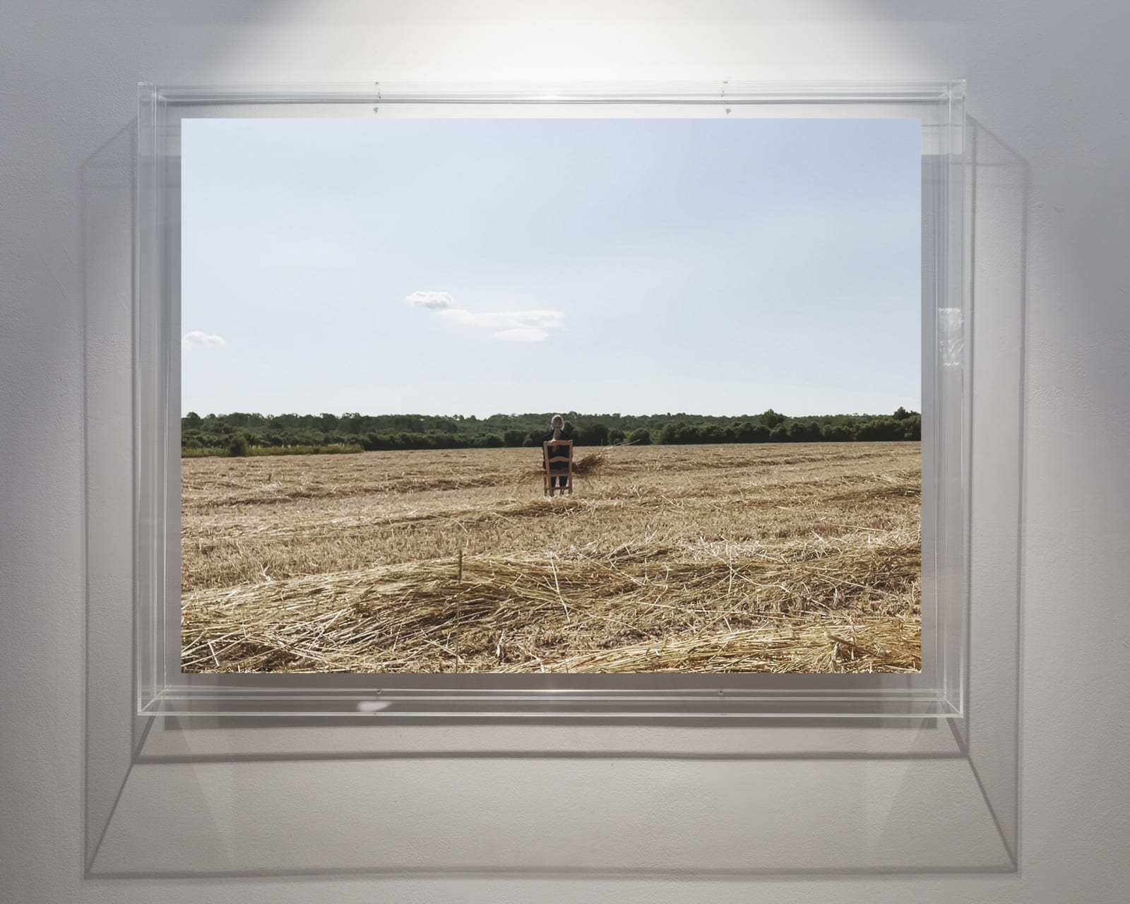 Susy Gómez, Campos Penetrables II (meditación de la cosecha), 2022-2023