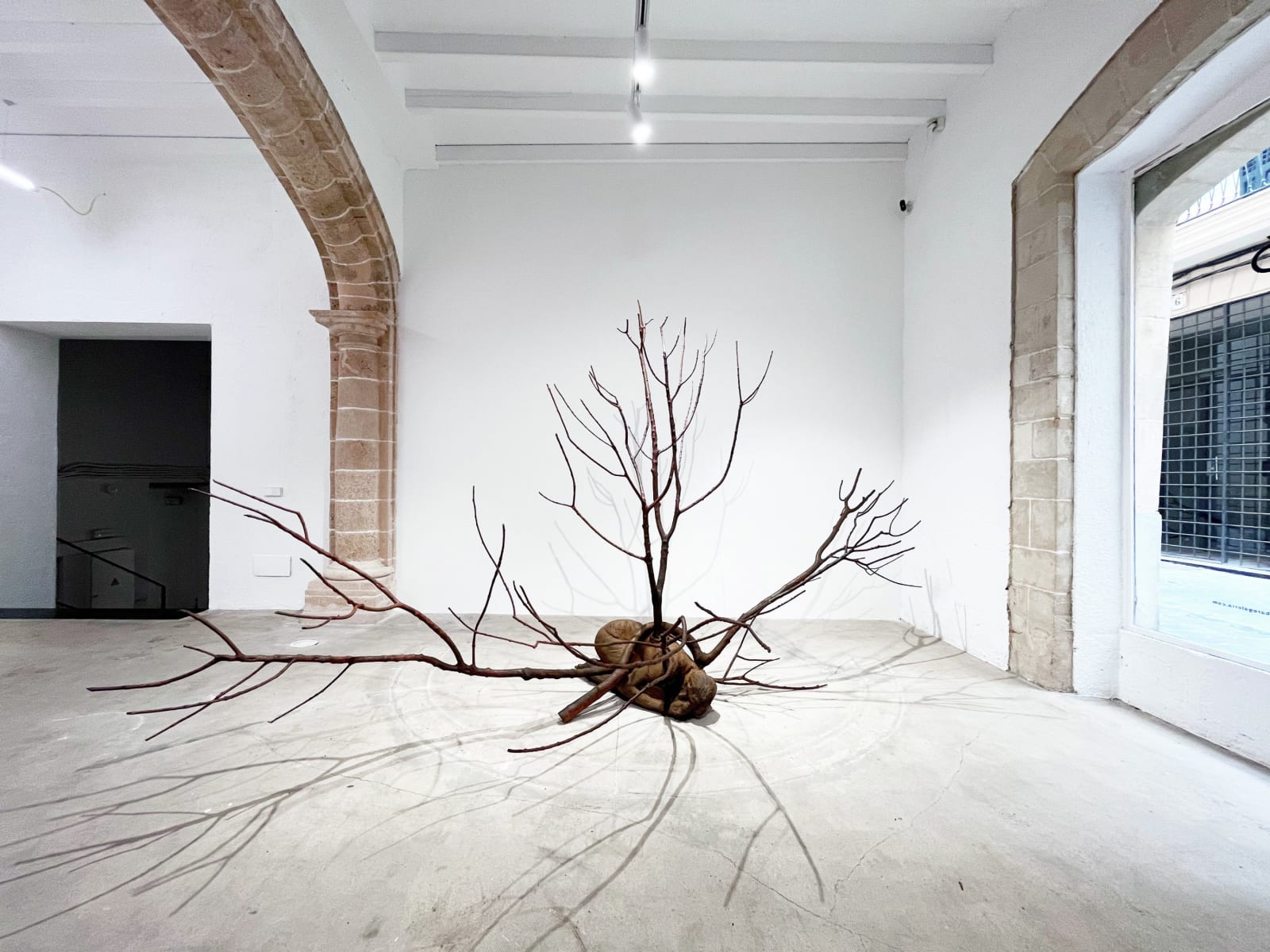 Amparo Sard, Untitled, 2022