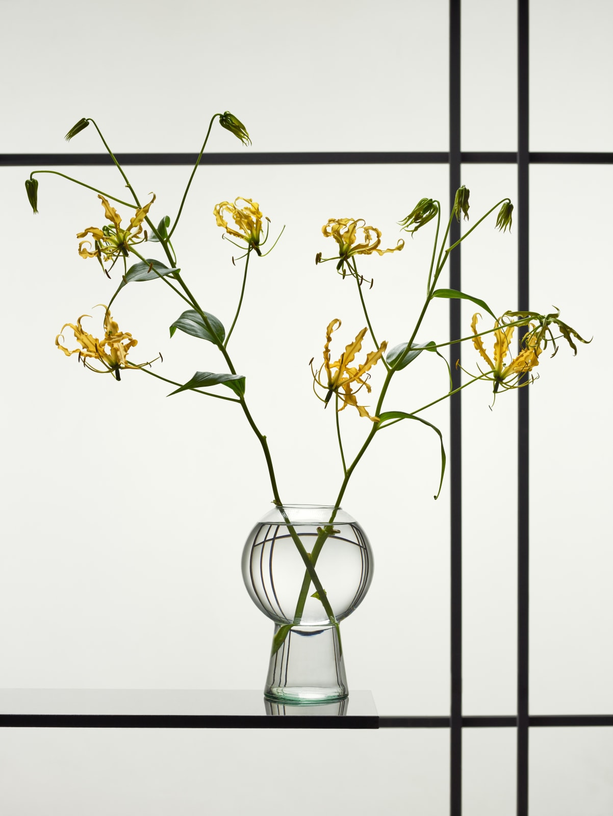 Erwin Olaf, Still Life with Gloriosa, 2021
