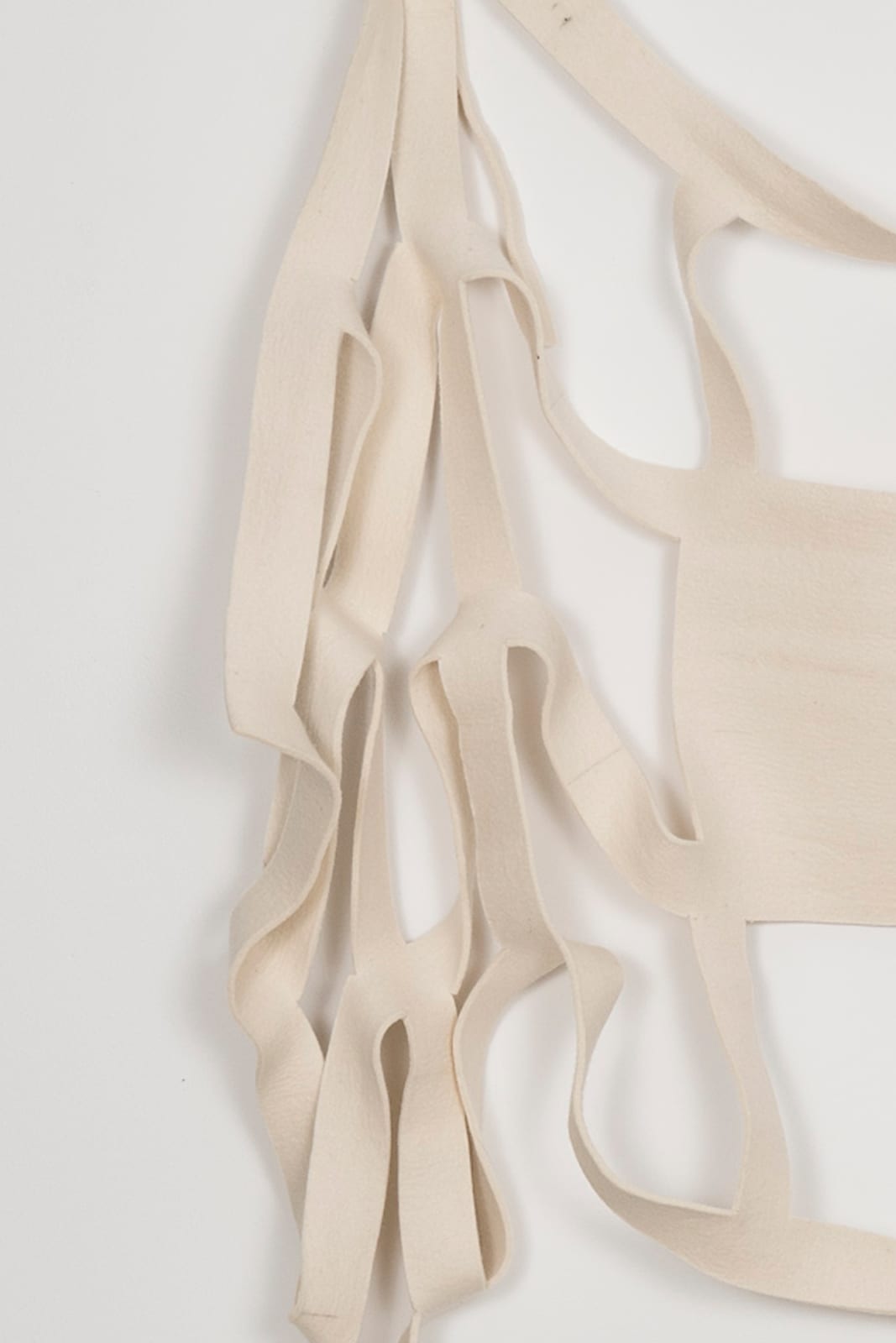 Eugenio Espinoza, Hanging Bone, 2015
