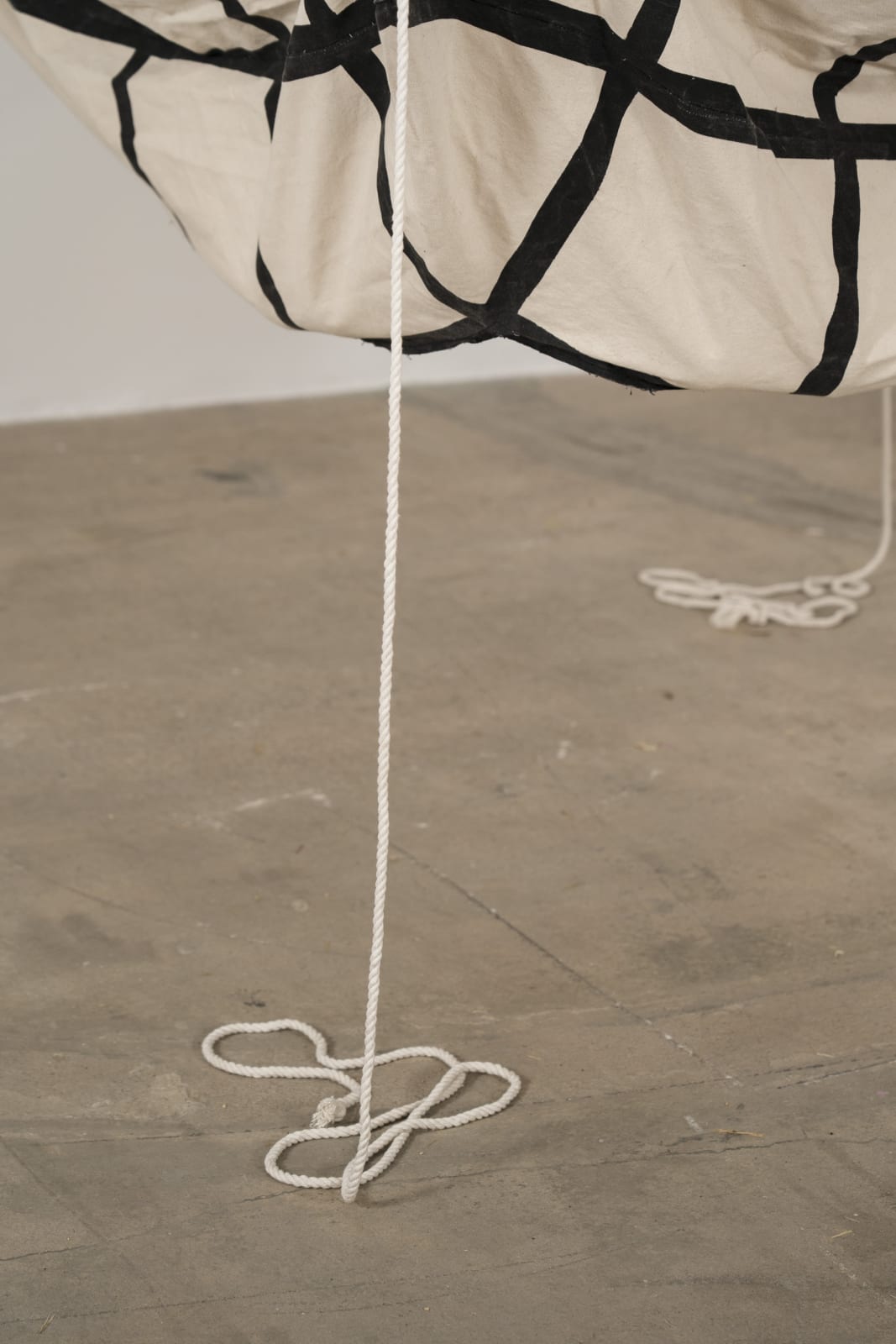 Eugenio Espinoza, 12 Cocos, 1971 - 2023