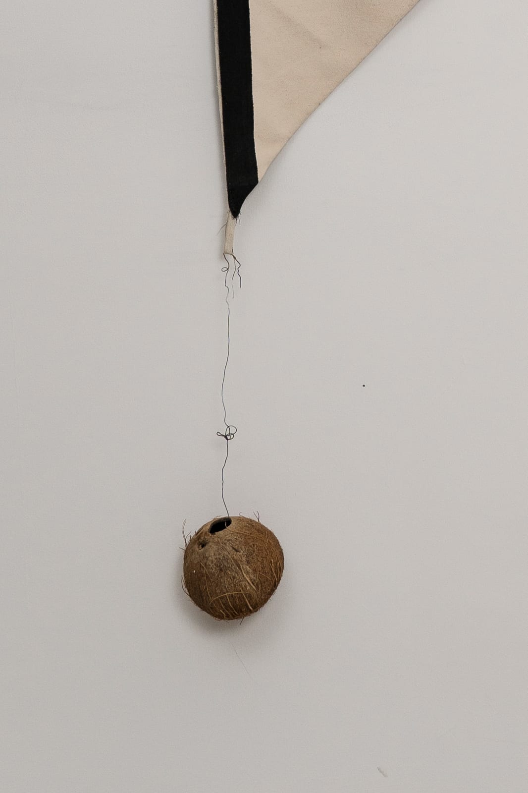 Eugenio Espinoza, Triángulo con Coco, 2018