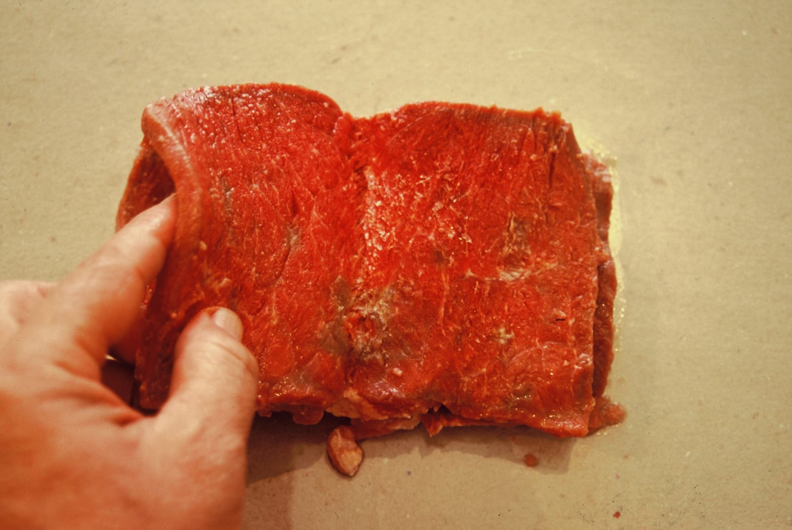 Artur Barrio, Livro de Carne, 1978 - 1979