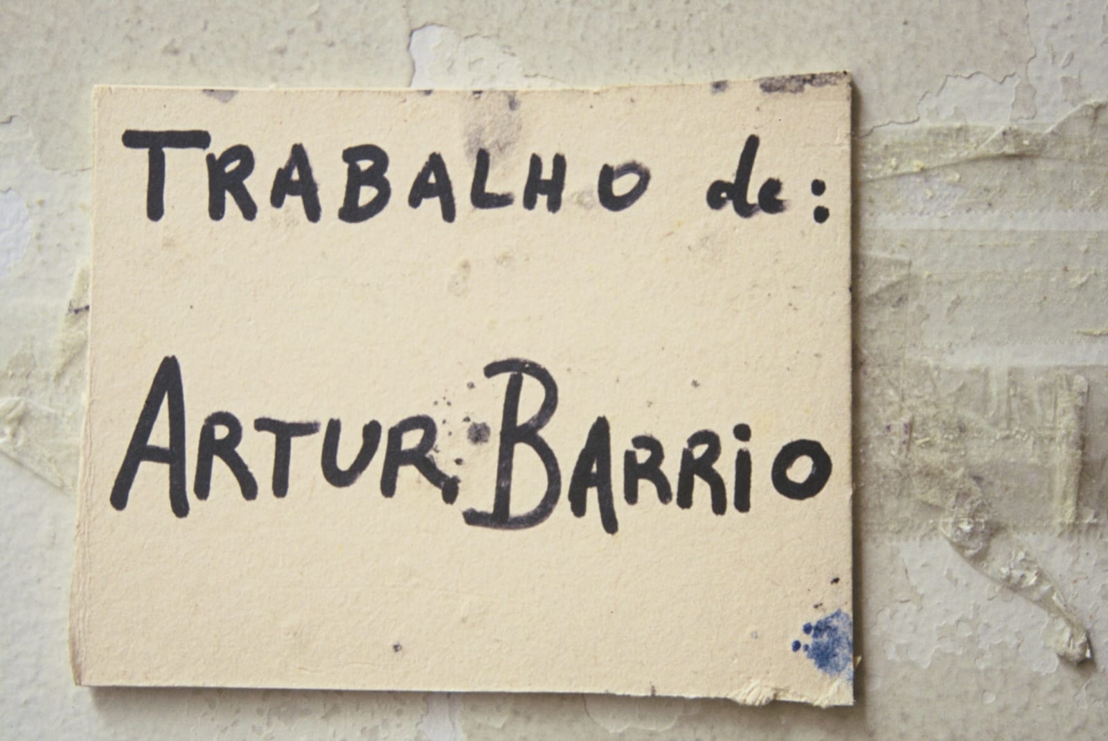 Artur Barrio, Livro de Carne, 1978 - 1979