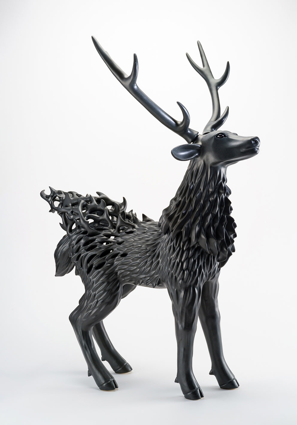 秋永 邦洋, 朧気（鹿）, 2022