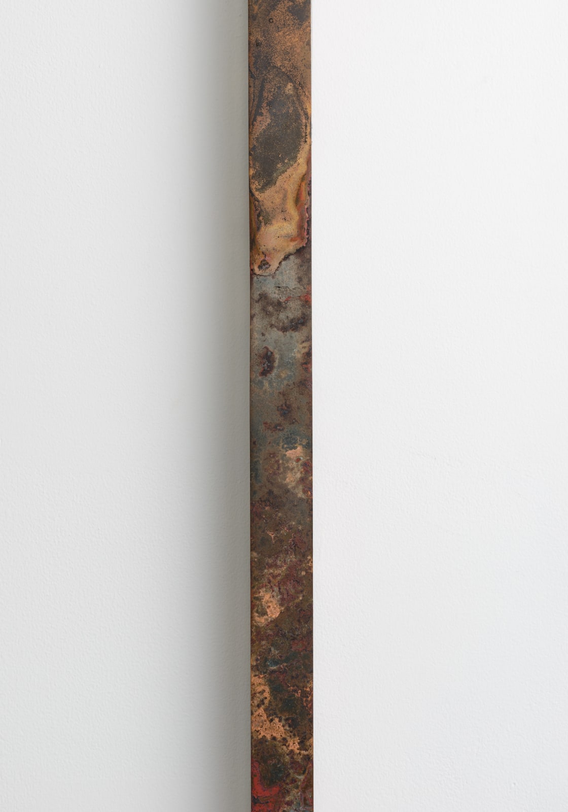 畠山 耕治, 長形のもの, 2019