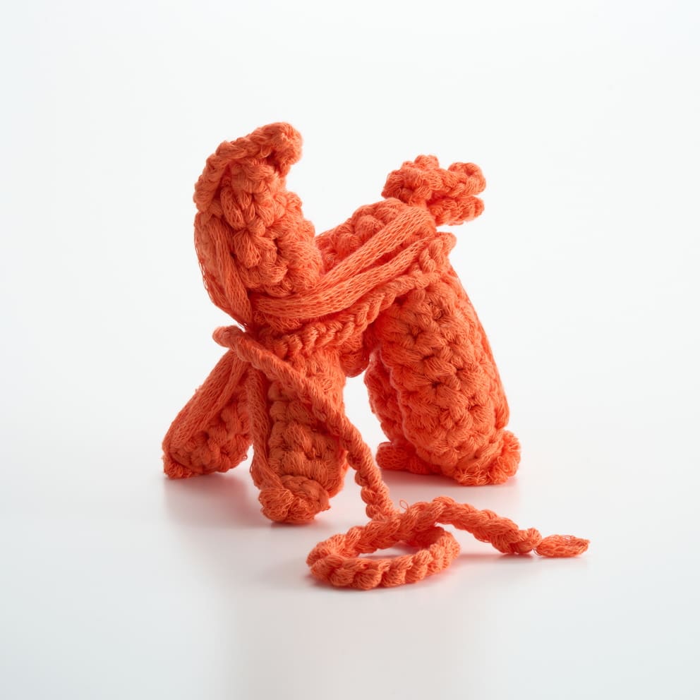 力石 咲, ほどける馬っこ_焔結, 2025