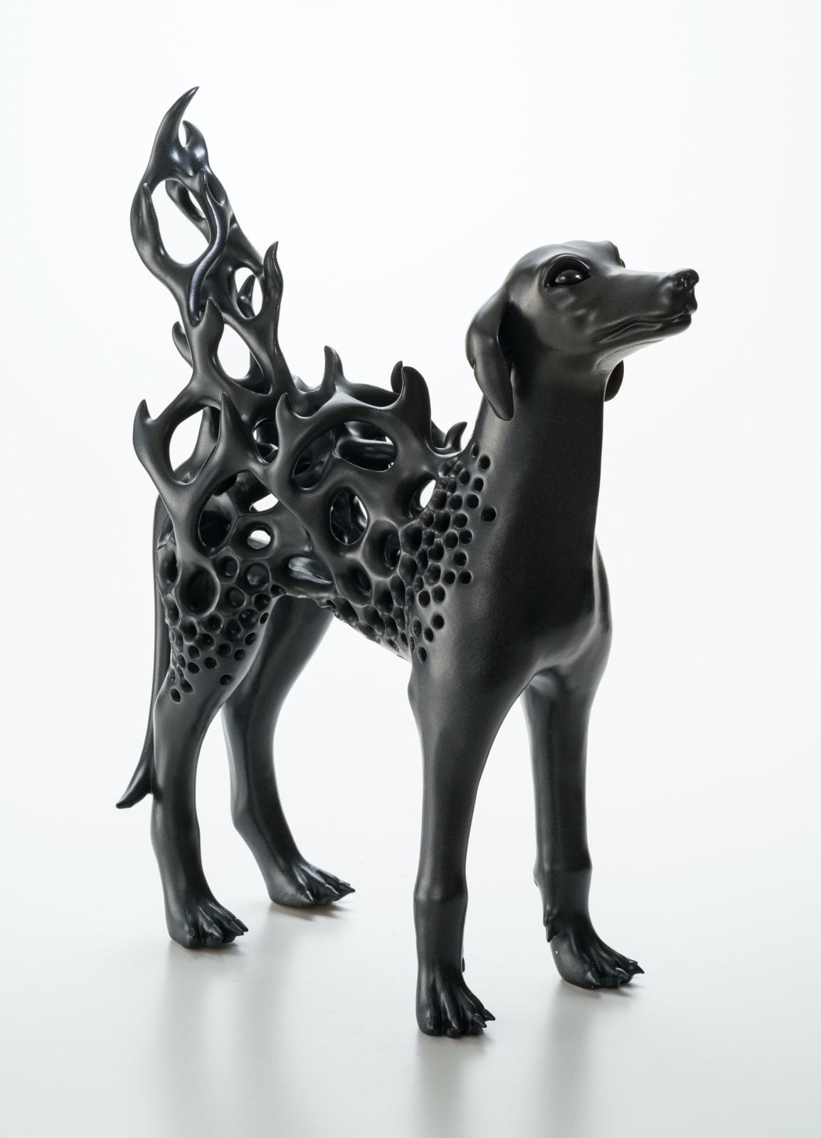 秋永 邦洋, 朧気（犬）, 2022