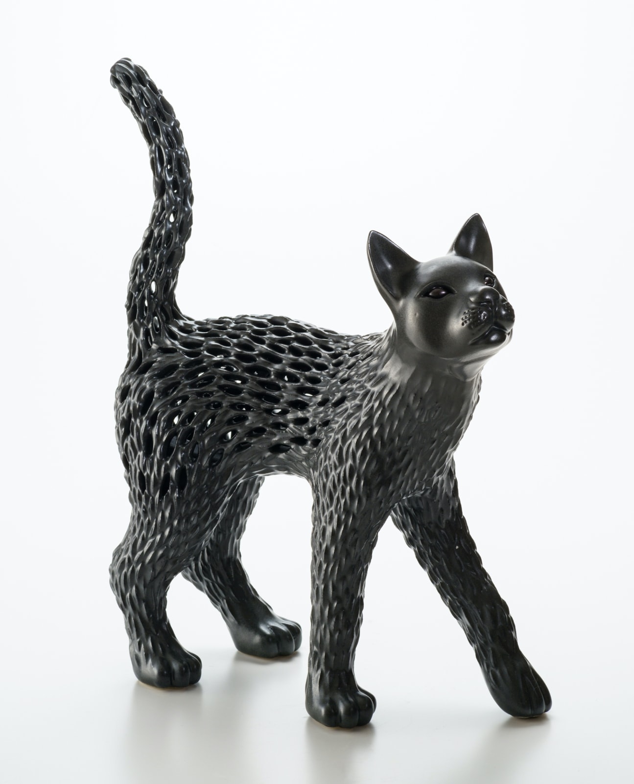 秋永 邦洋, 朧気（猫）, 2022