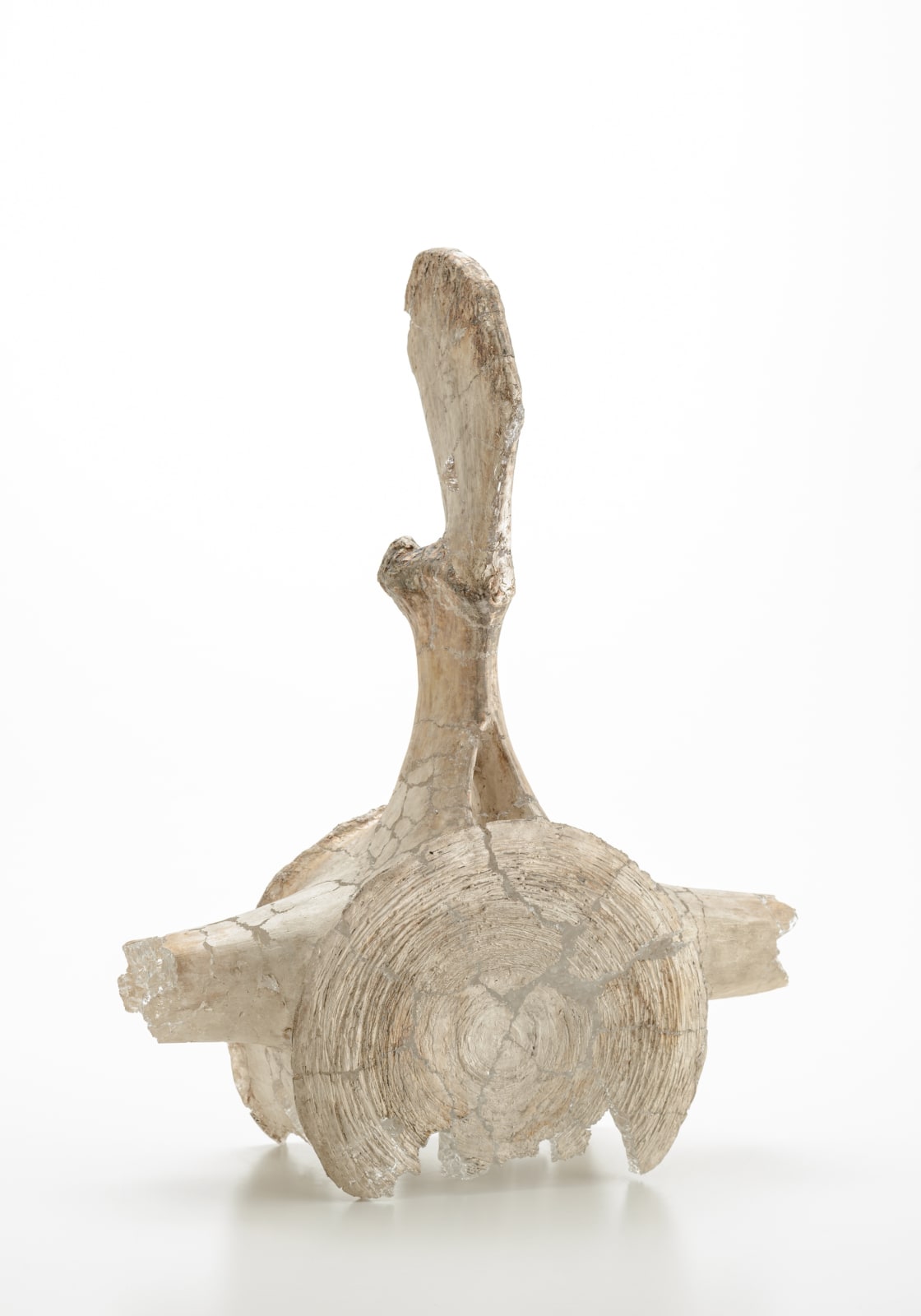 米津 真理奈, Contact-16, 2020