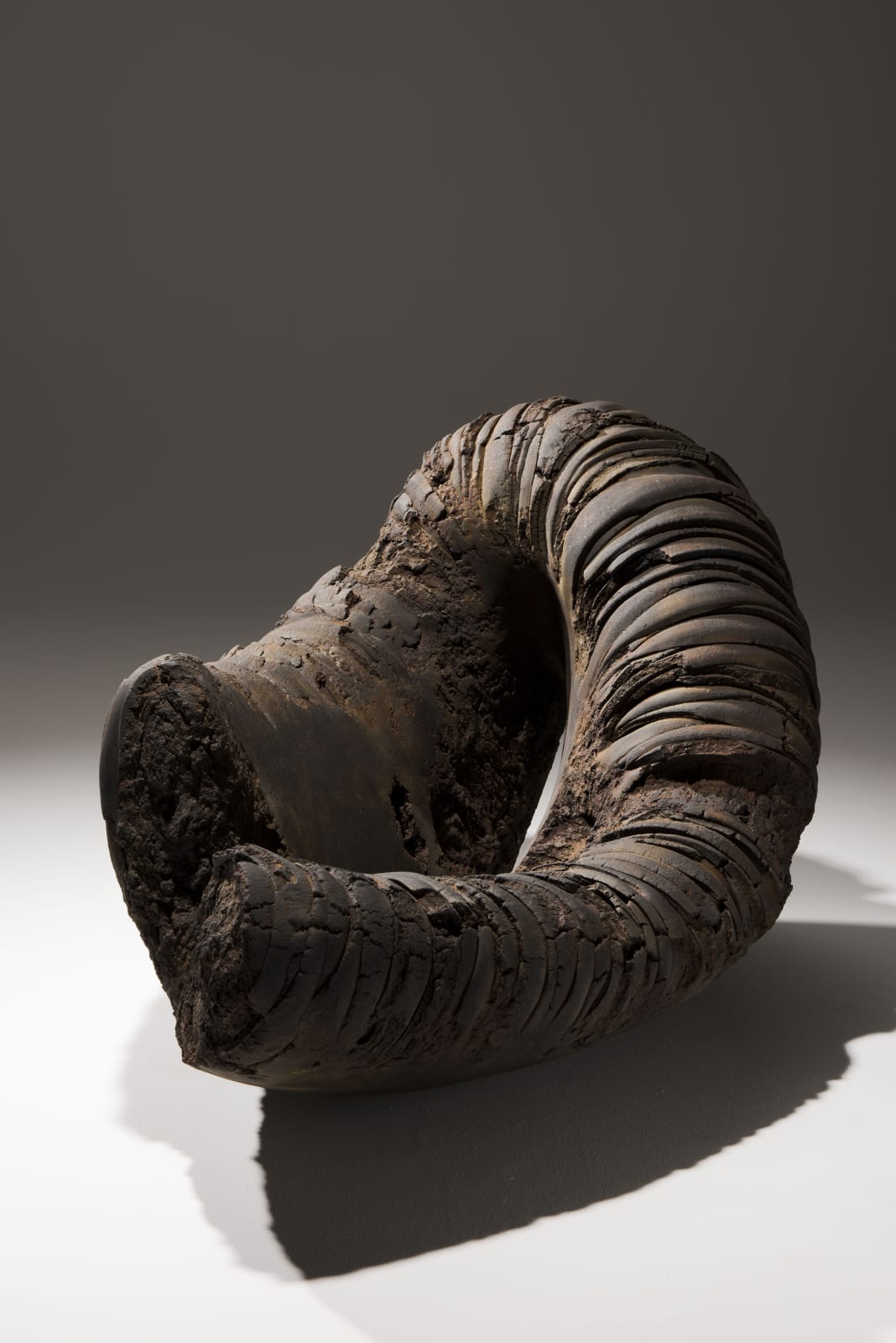 秋山 陽, Metavoid 30, 2015