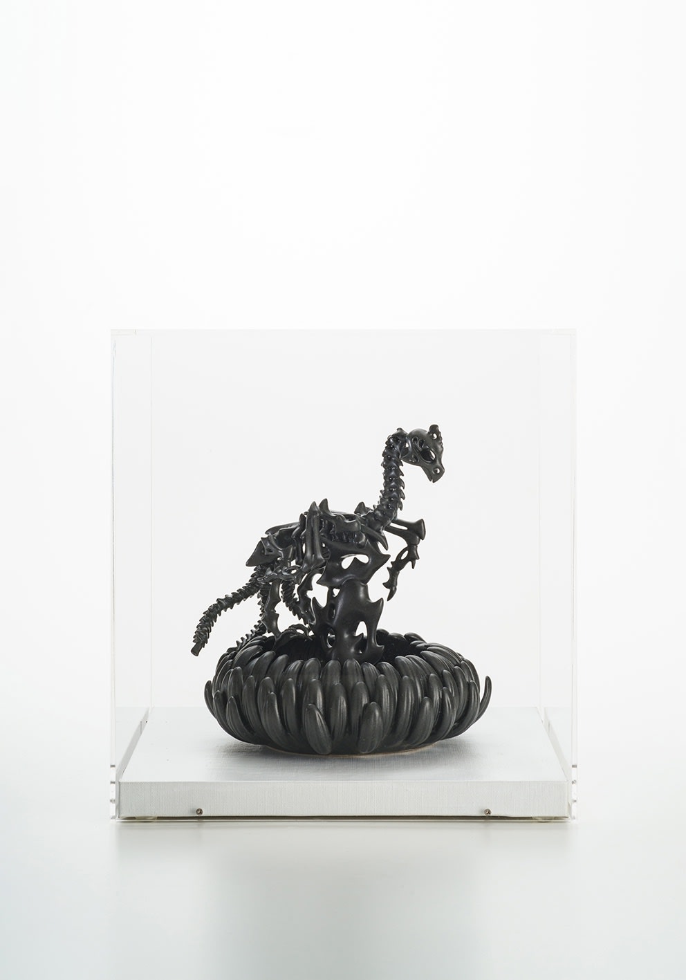 秋永 邦洋, 擬態化（鳳凰）, 2020