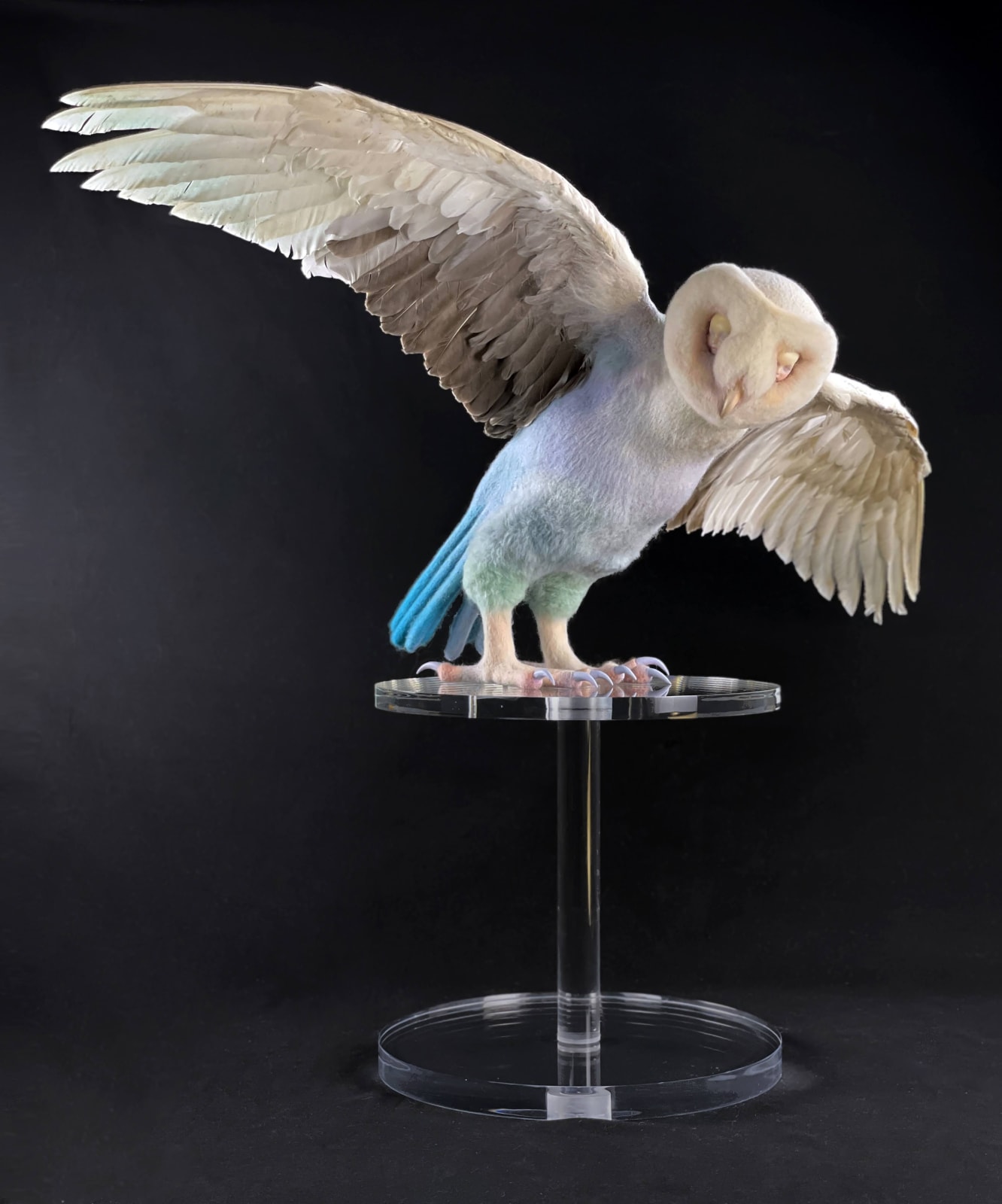 メイメイ, Ka-Ba(owl), 2021
