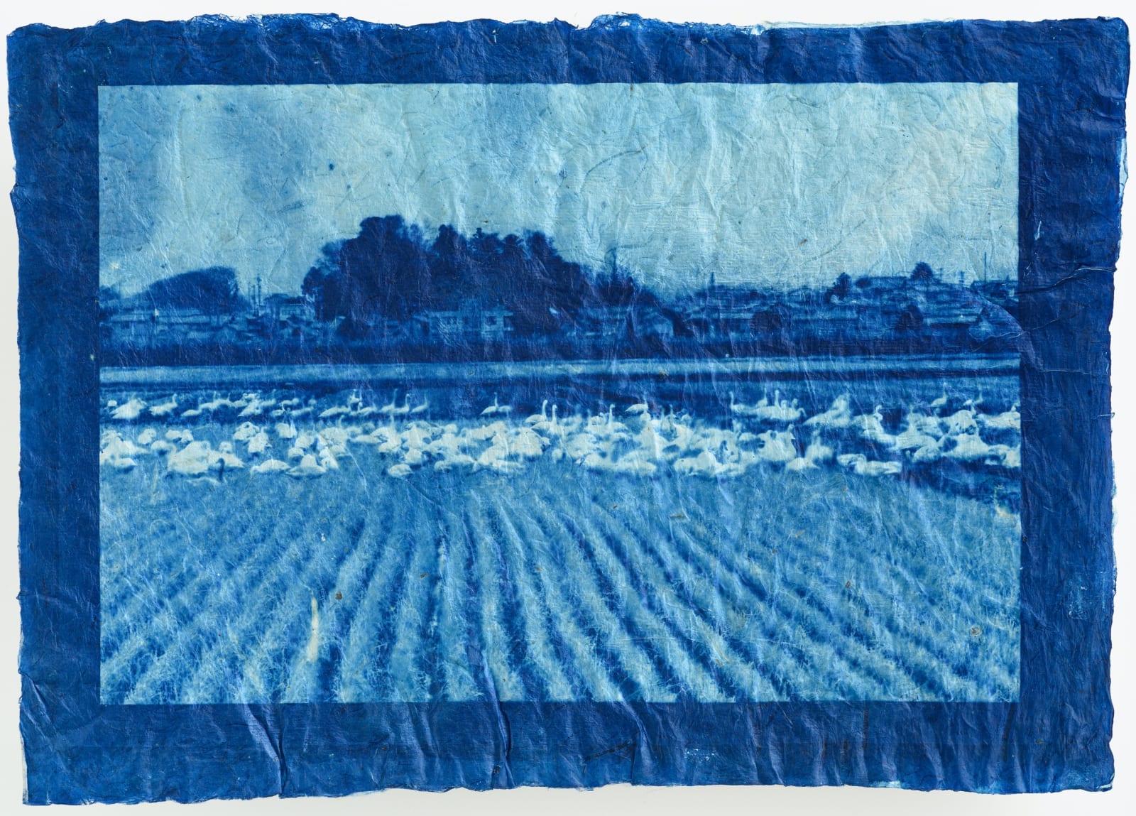 堀江 美佳, Tranquil Water (A.P 2/3), 2019