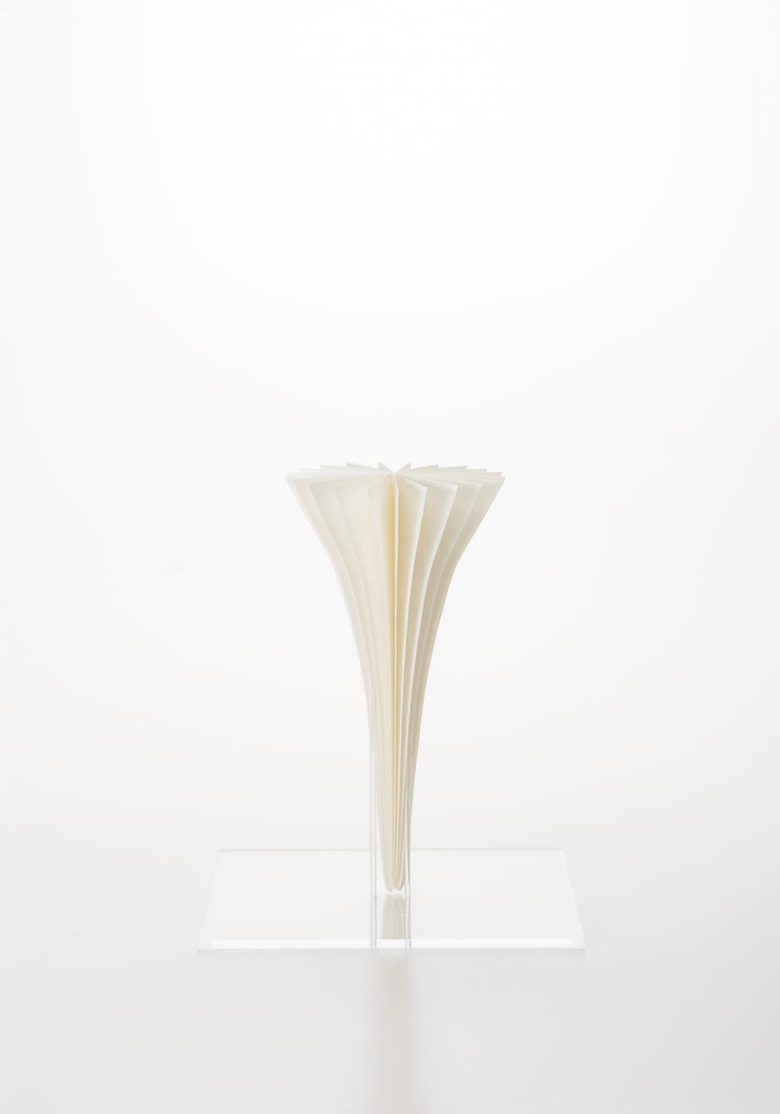 出和 絵理, Forest4, 2019