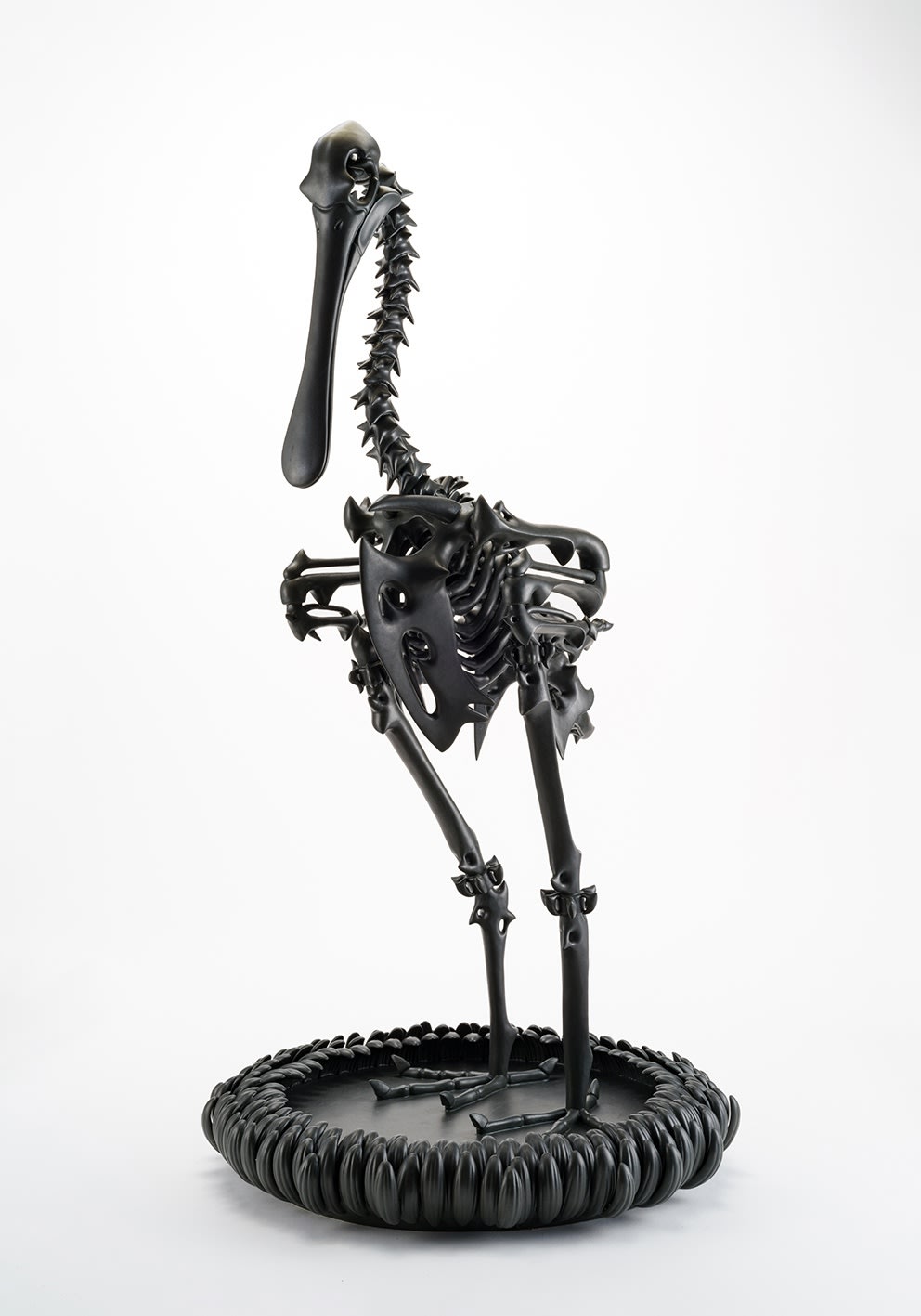 秋永 邦洋, 擬態化（ヘラサギ）, 2021