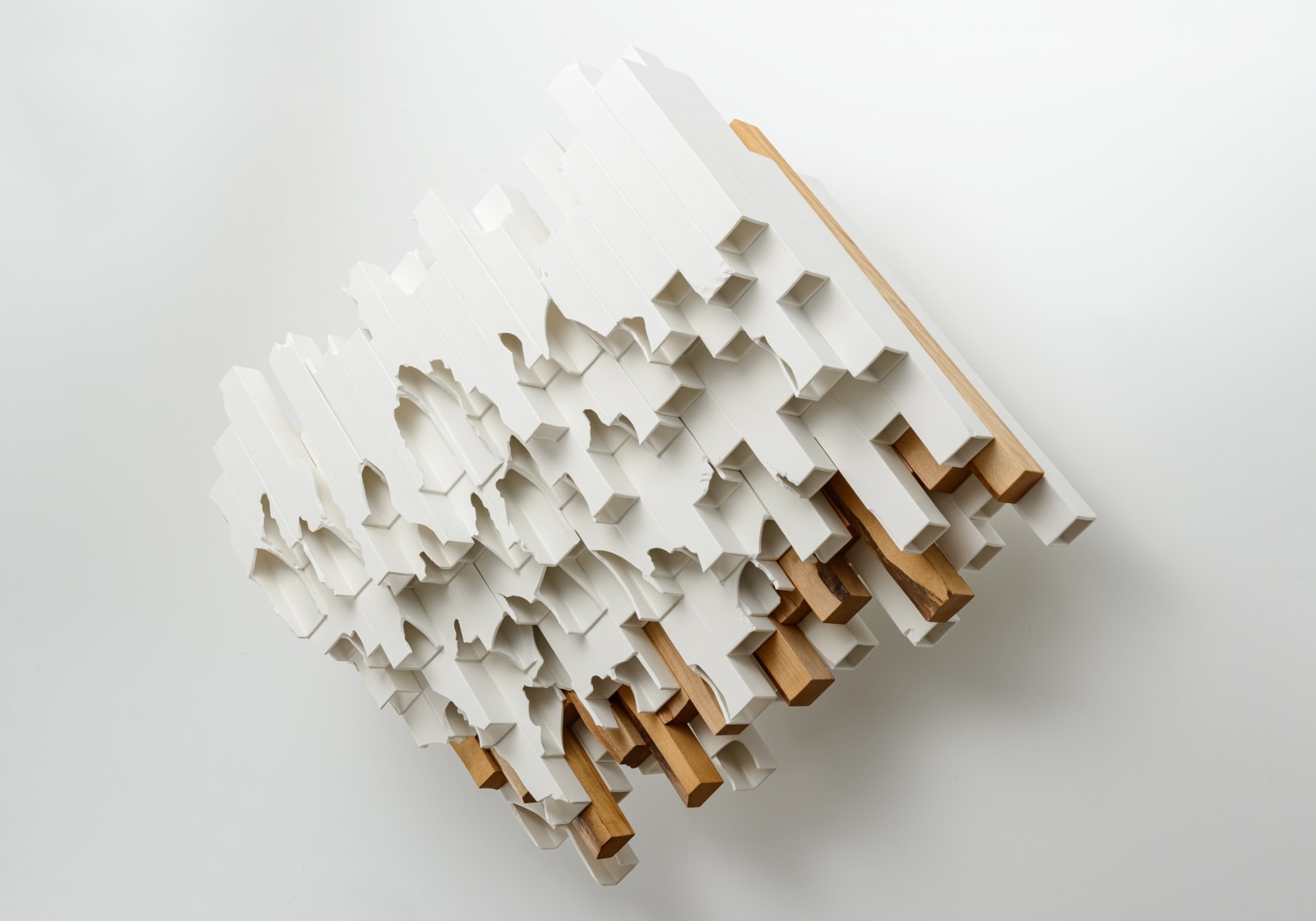 竹内 紘三, Modern Remains Meadow, 2021