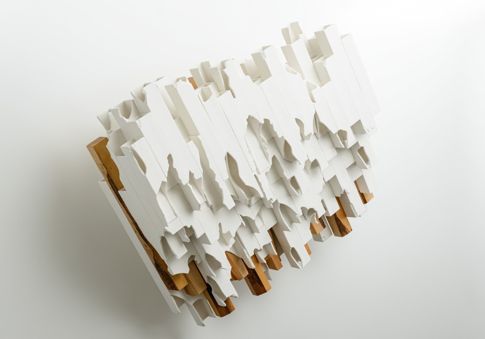 竹内 紘三, Modern Remains Meadow, 2021