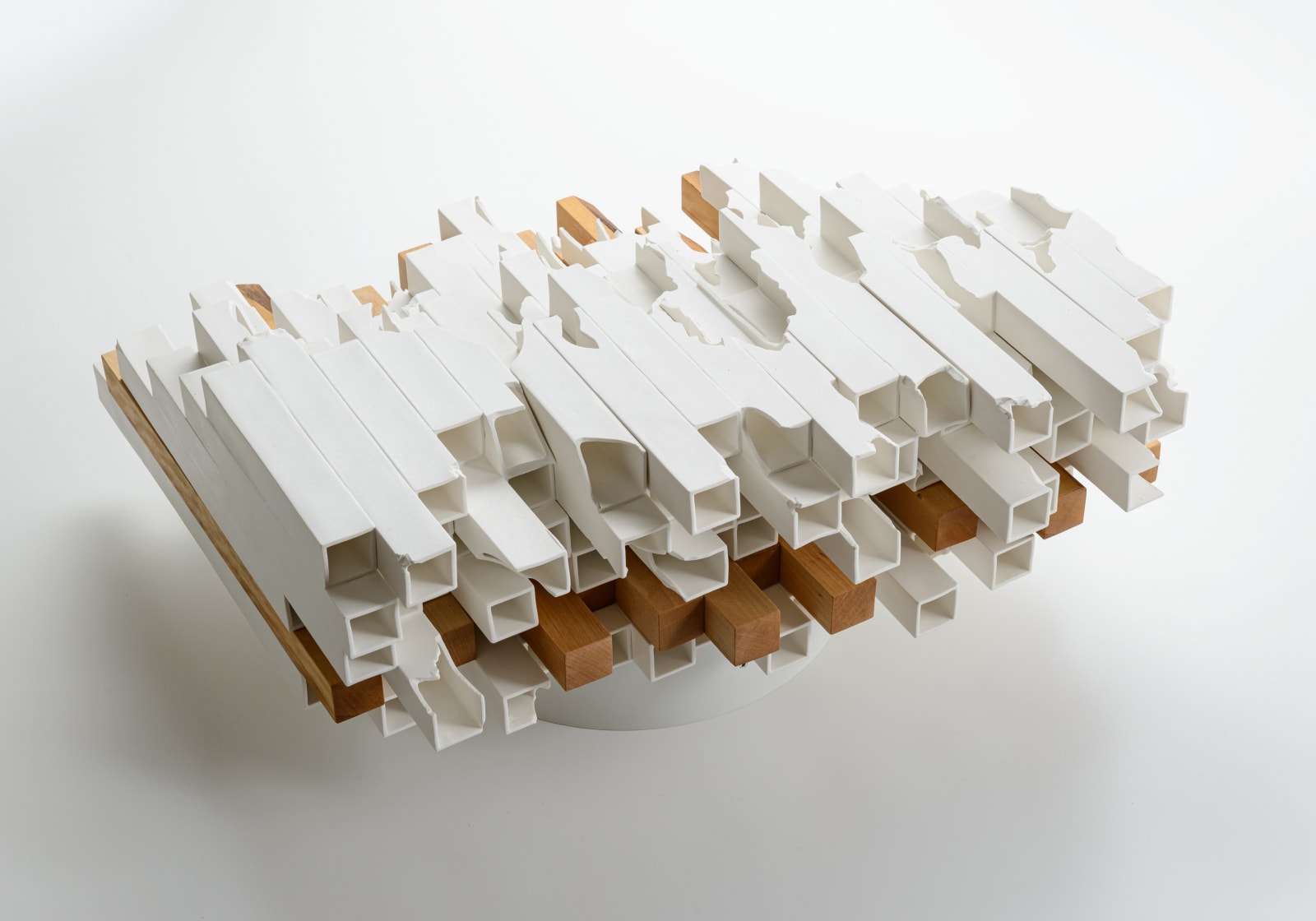 竹内 紘三, Modern Remains Meadow, 2021