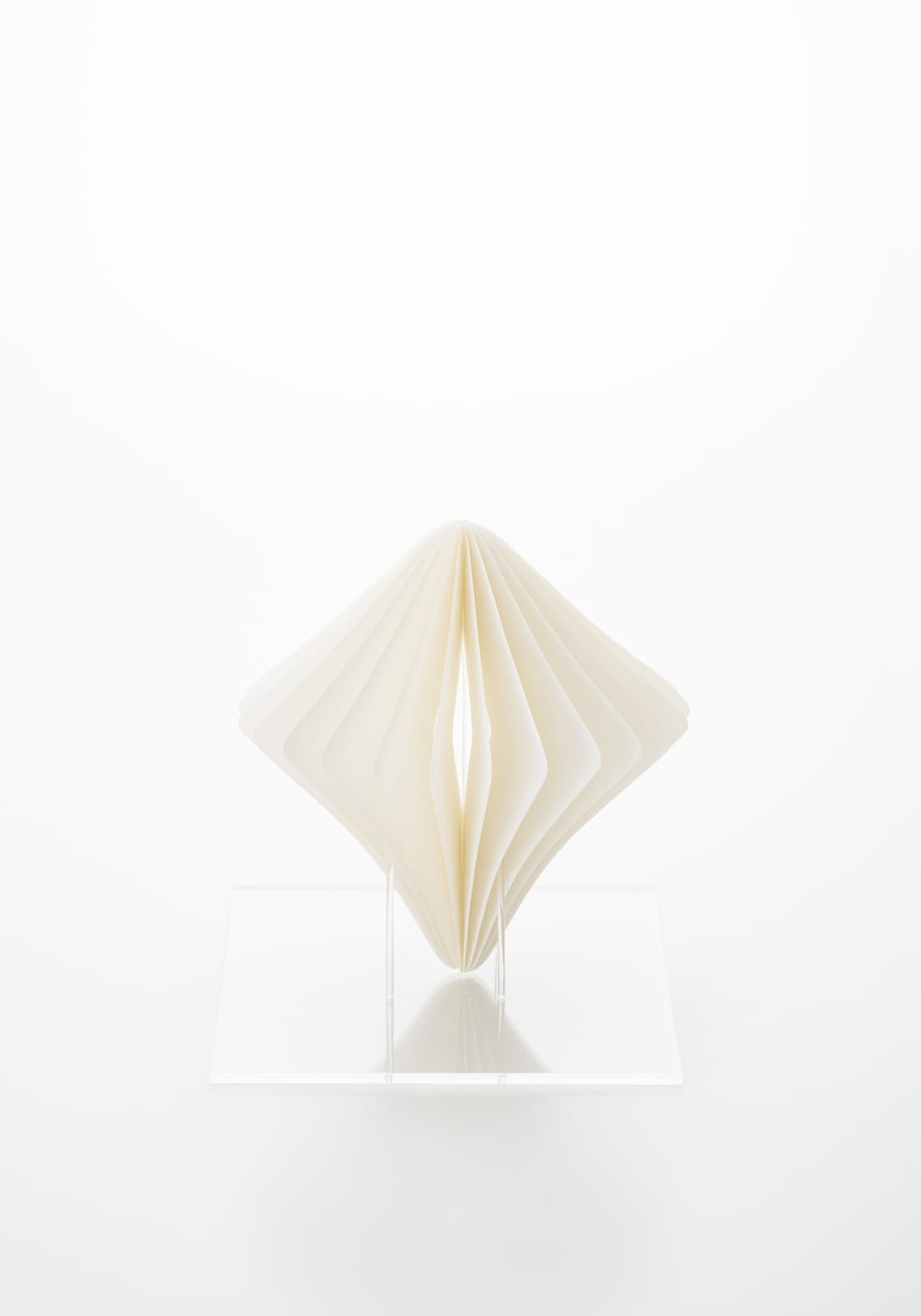 出和 絵理, Forest2, 2021