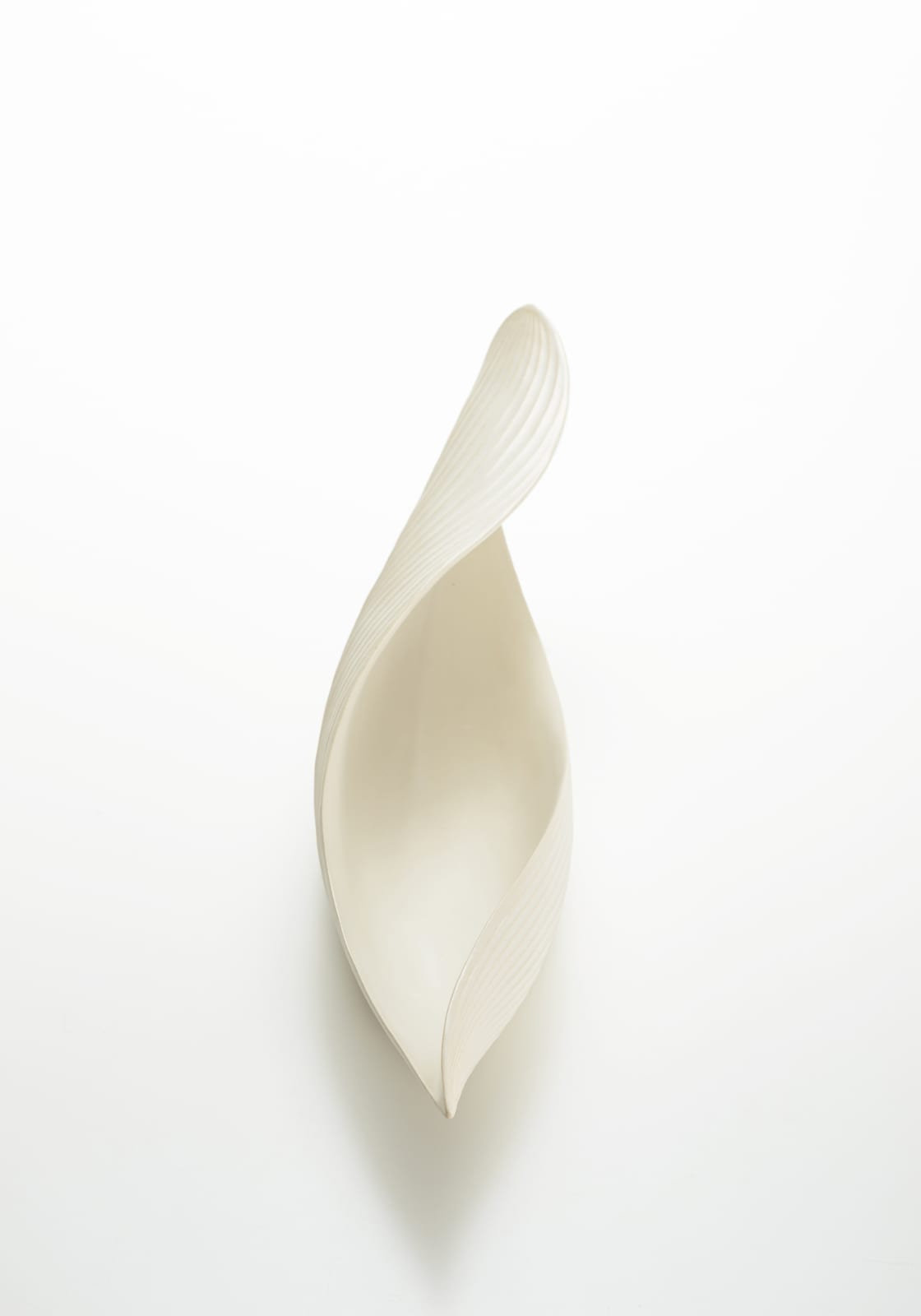 稲葉 周子, 葉器/ YOHKI Vessel, 2019