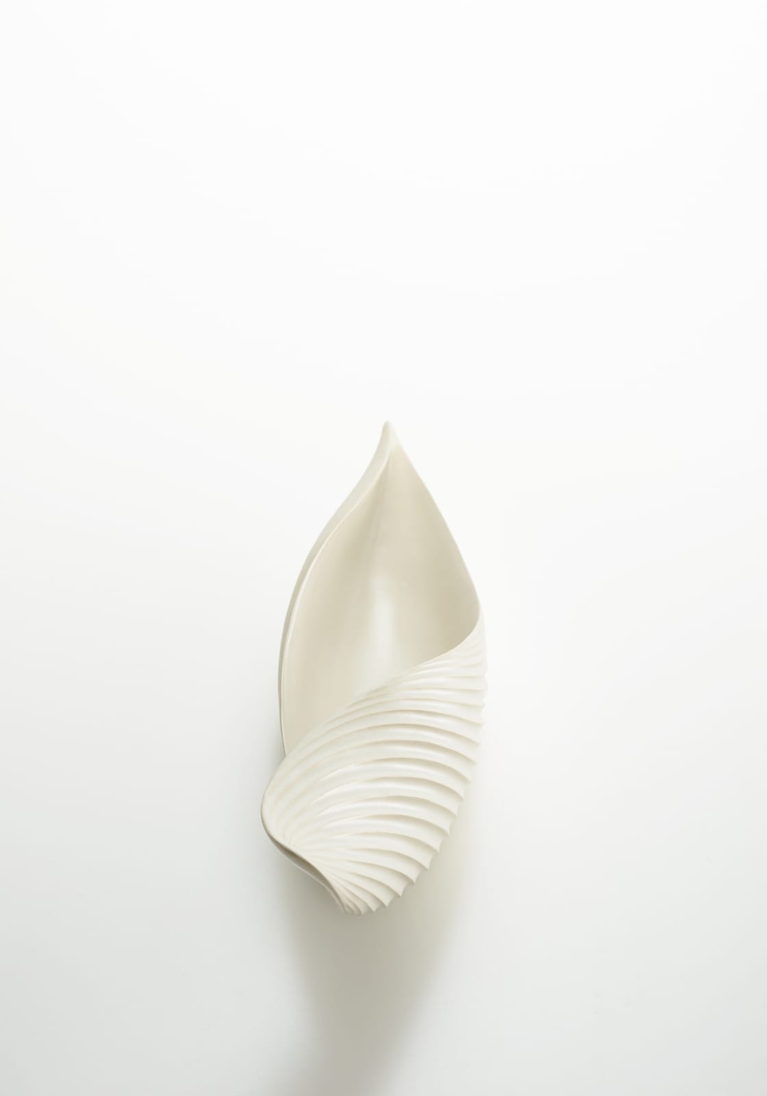 稲葉 周子, 葉器/ YOHKI Vessel, 2019