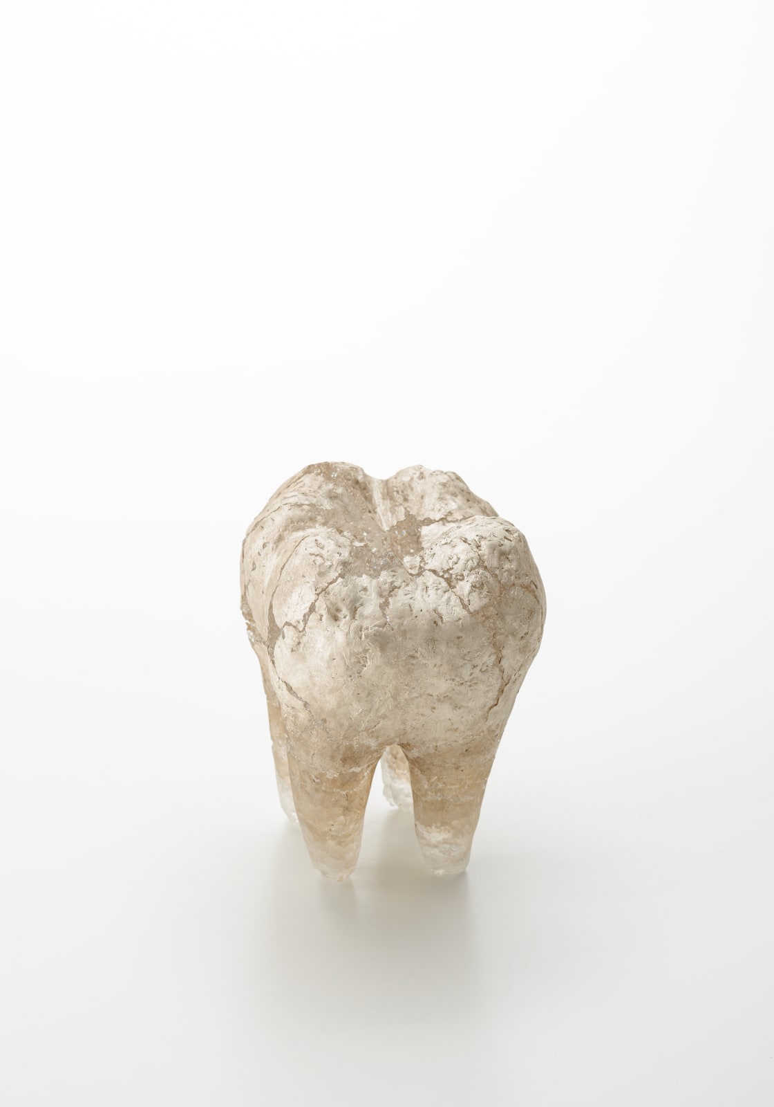 米津 真理奈, Contact-11, 2020