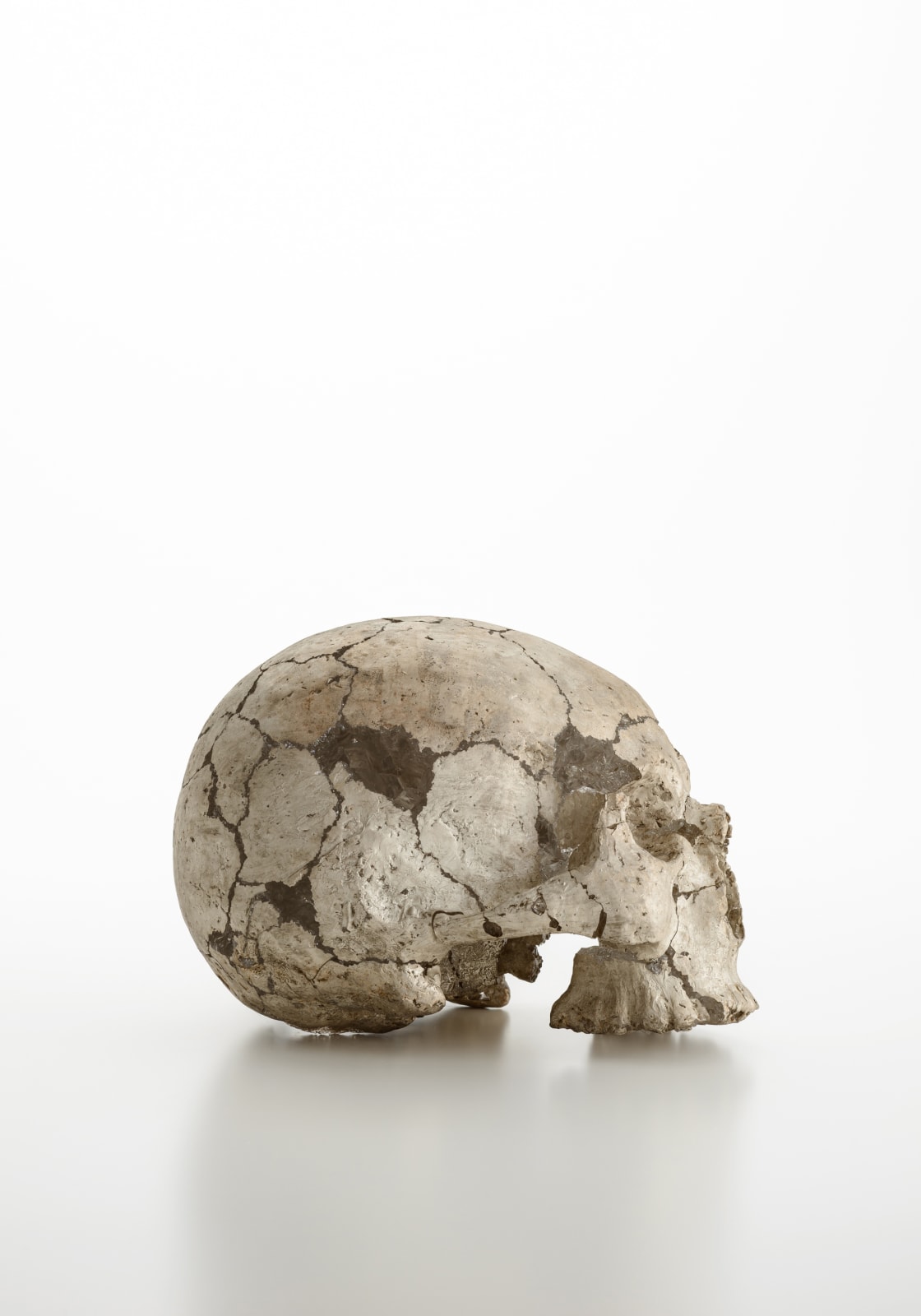 米津 真理奈, Contact-15, 2020