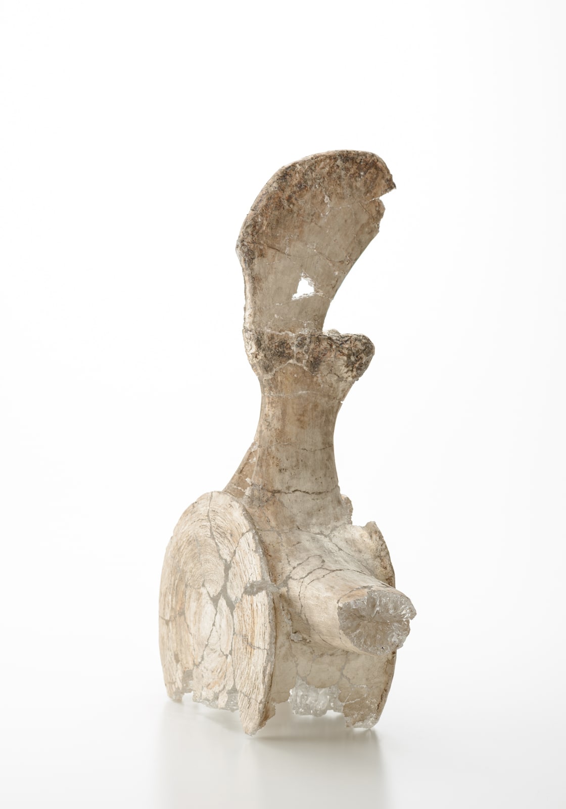 米津 真理奈, Contact-16, 2020