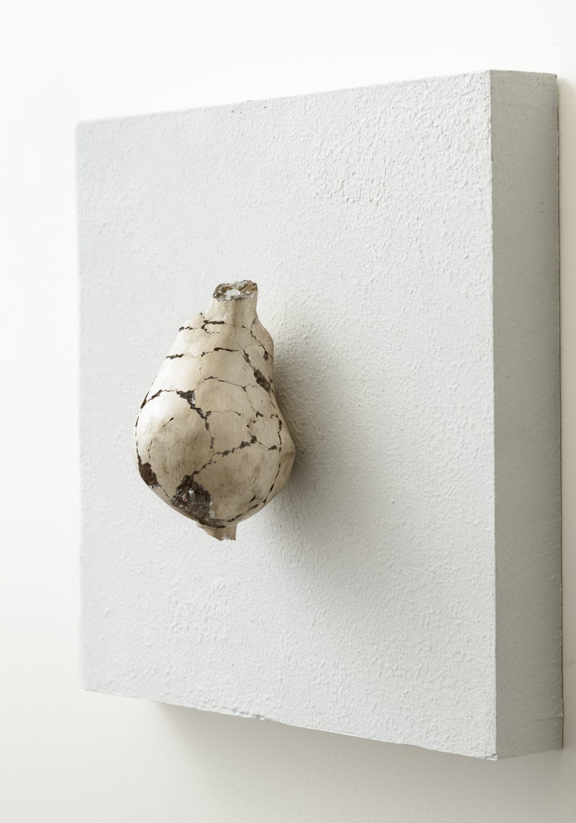 米津 真理奈, Contact-001, 2020