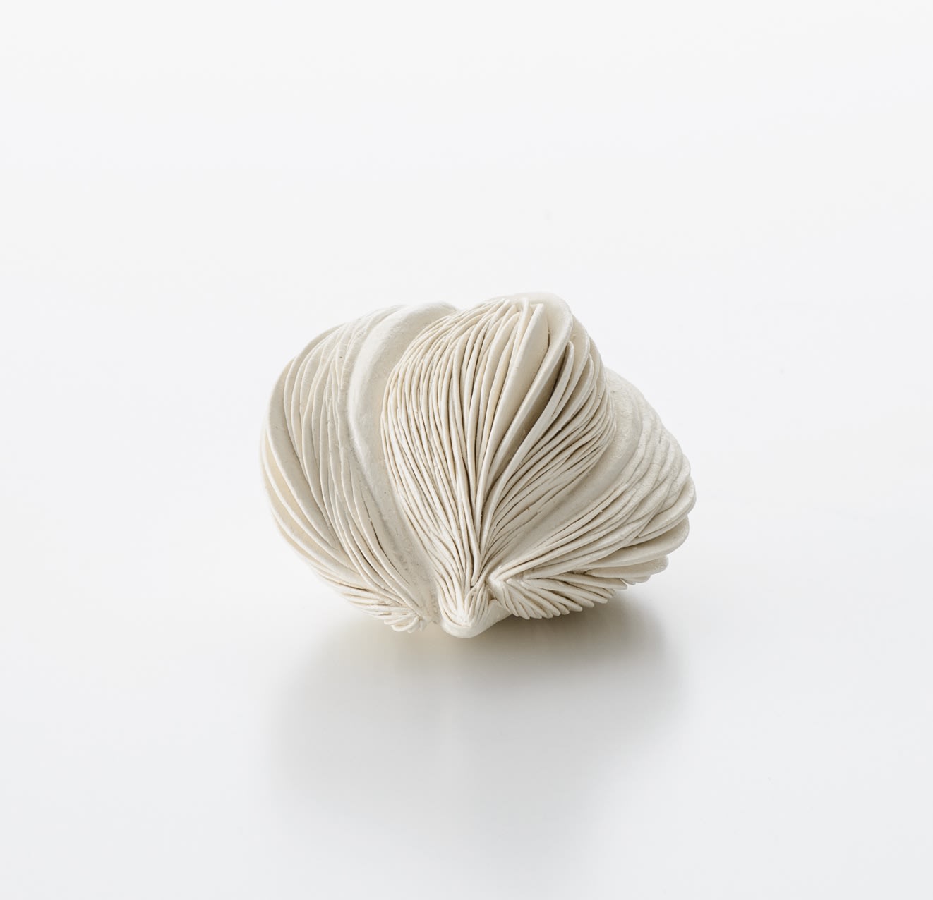 田中 知美　, 低空飛行, 2019