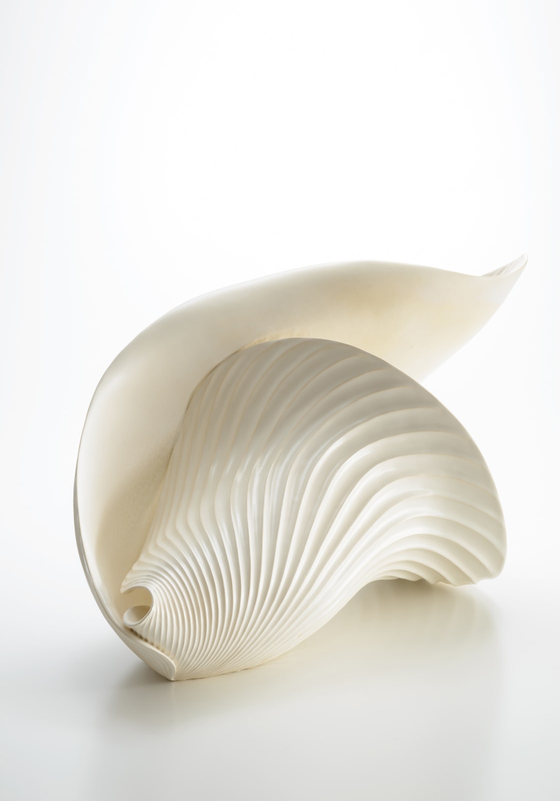 稲葉 周子, 葉器, 2019