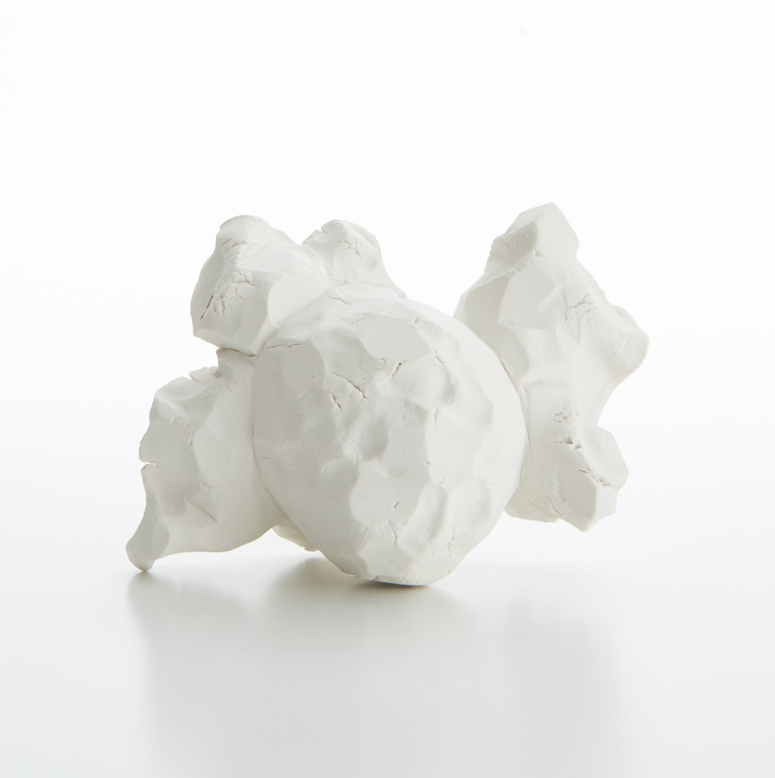 パエ・ホワイト, Companion (C), 2015