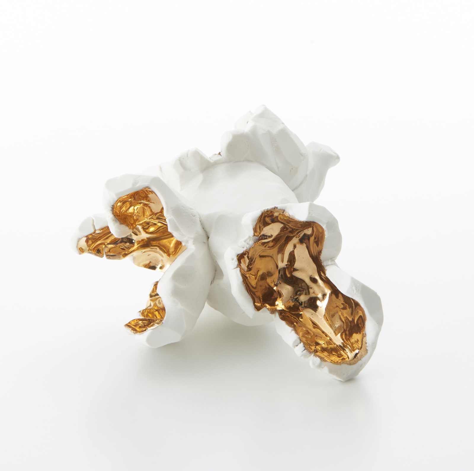 パエ・ホワイト, Companion (D), 2015
