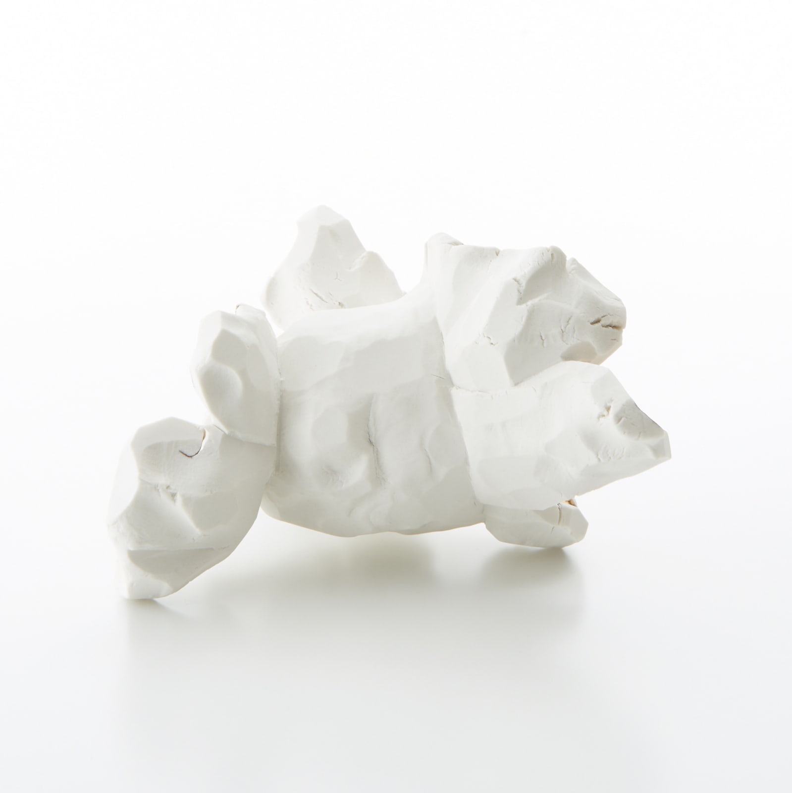 パエ・ホワイト, Companion (D), 2015