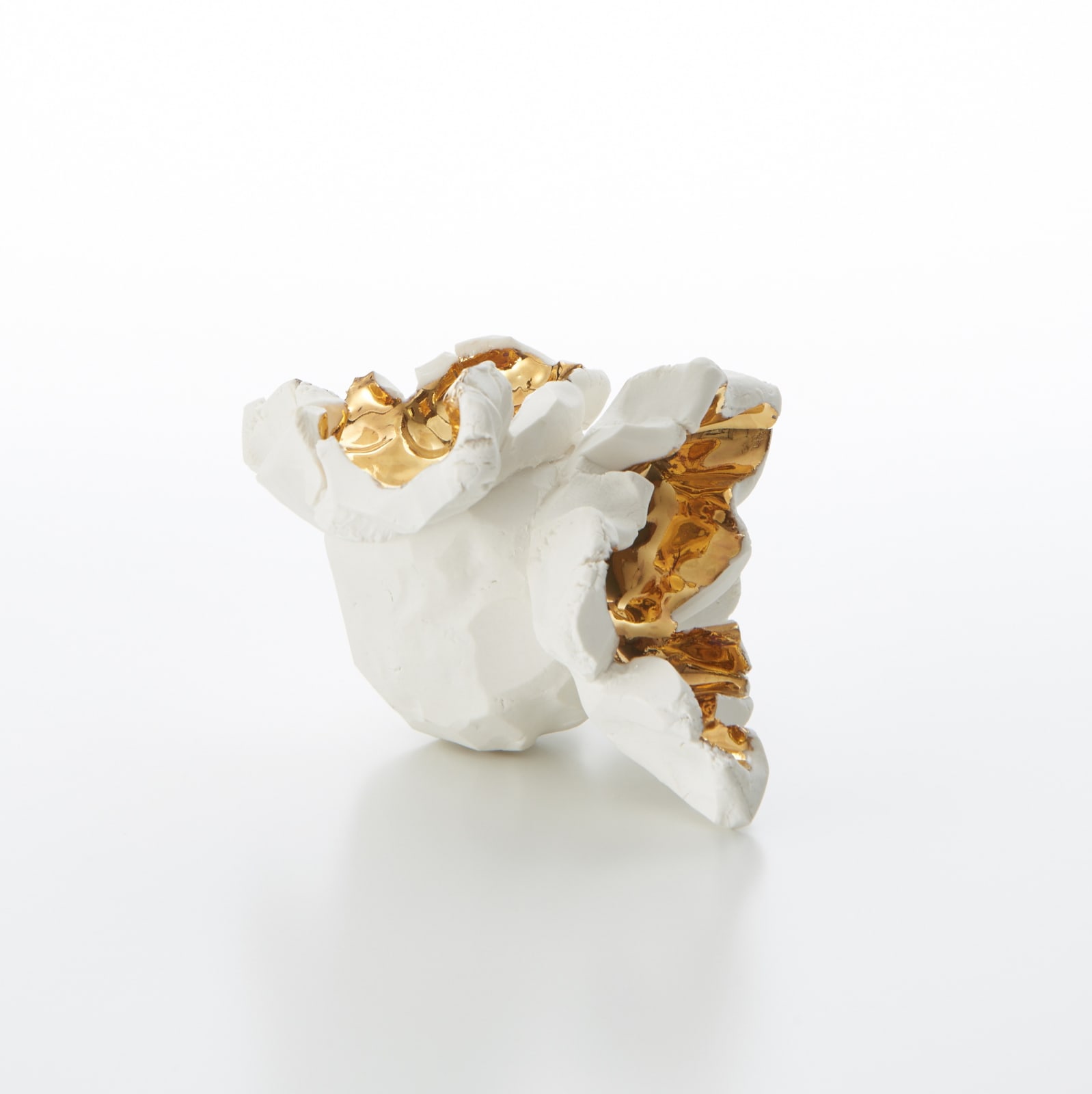パエ・ホワイト, Companion (O), 2015