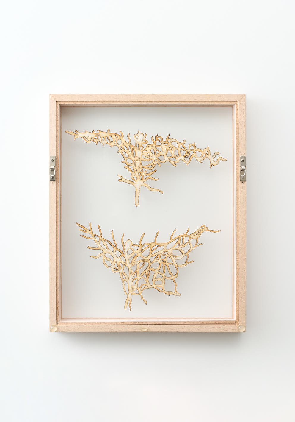 多和田 有希, Family Ritual 4, 2018